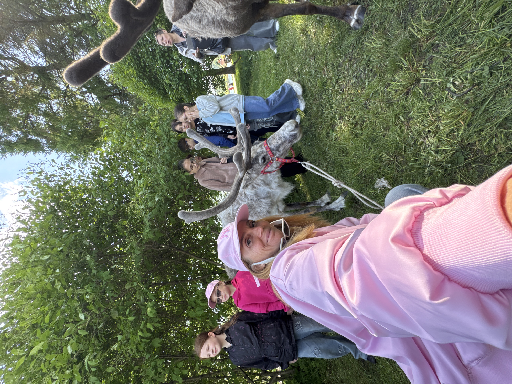 The image shows a group of people in an outdoor setting, likely a park or field given the presence of grass and trees. A reindeer is prominently featured, held by a lead. Several individuals stand behind the reindeer, suggesting an interaction or a photo opportunity. The foreground includes a woman in pink clothing. Other people are visible behind her. The exact location within Vsevolozhsk, Russia is not discernible from the image itself.