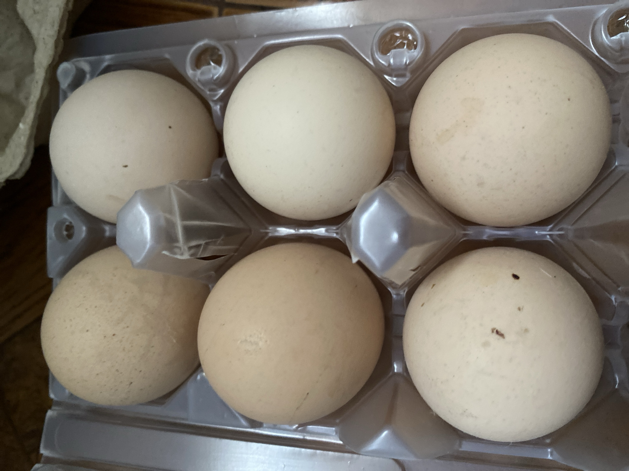 A close-up, top-down view shows six light brown and off-white eggs arranged in a clear plastic egg carton. The carton has individual compartments for each egg, with raised, faceted dividers between them. The eggs vary slightly in color and size, with some exhibiting small brown speckles. The background is blurred but appears to be a textured wooden surface. The scene is indoors. The location in Sokhumi, Abkhazia is not discernible from the image.