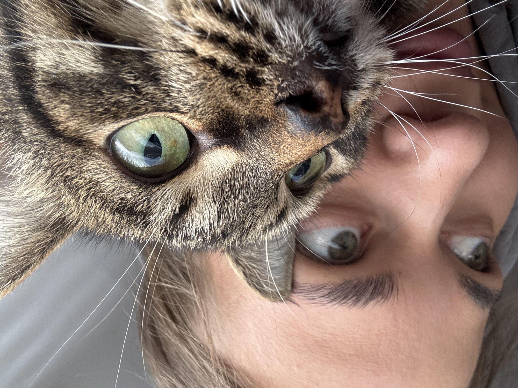 A close-up, upside-down photograph shows a woman's face partially obscured by a tabby cat's face. The cat's left eye is visible, reflecting the light. The woman's eyes are directed upwards and towards the cat. The cat's whiskers are prominent against the woman's skin. The image provides no evidence of a location in the city of Chernushka, Russia.