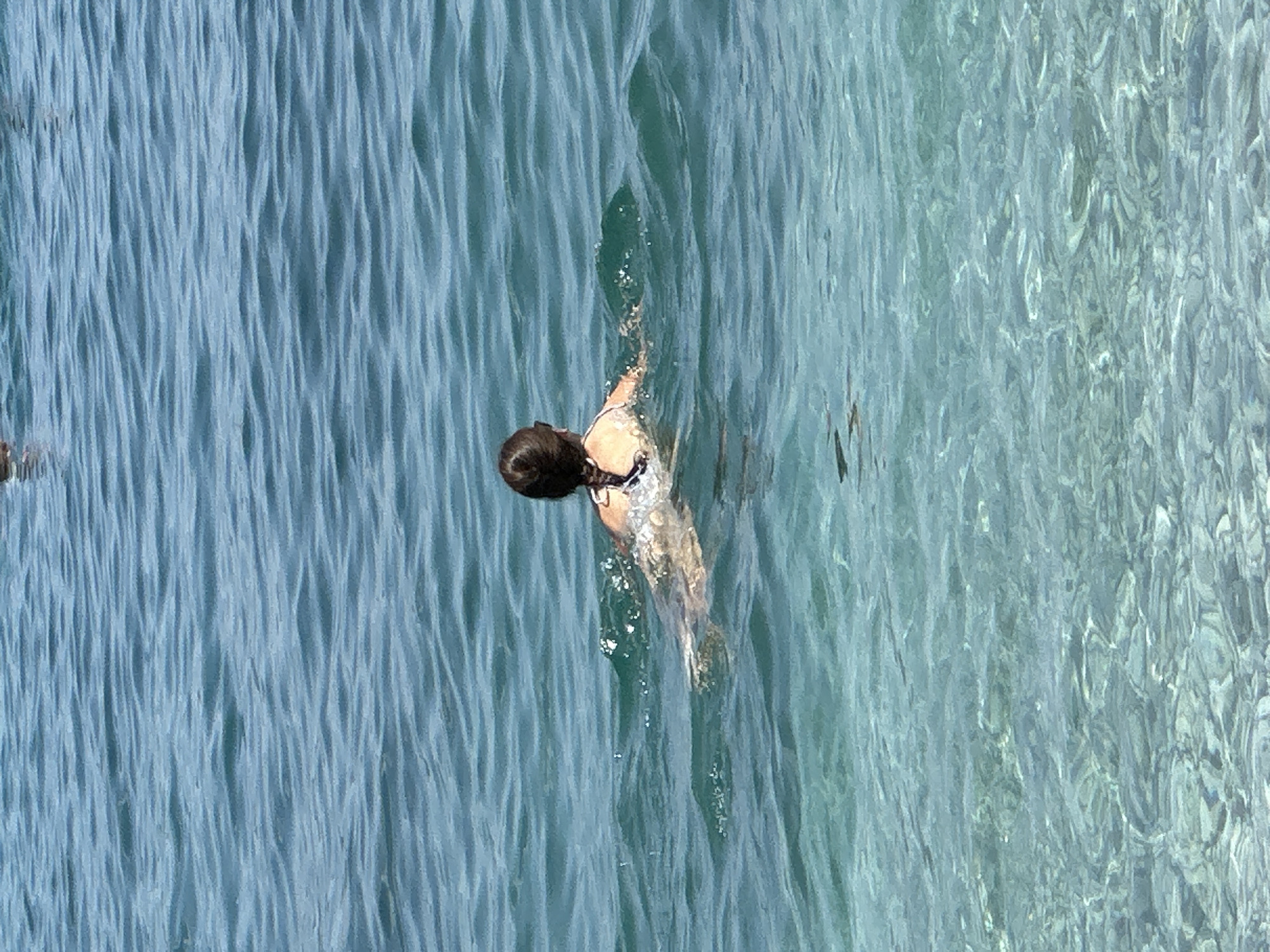 A person is swimming in the clear, blue waters of the Adriatic Sea. The individual, facing away from the camera, has brown hair pulled back and is wearing a white bikini with a black pattern. The person's body is partially submerged, with arms extended as they swim. The water is calm, with gentle ripples on the surface, and the seabed is visible in the foreground due to the transparency of the water. This scene is typical of the beaches in Budva, Montenegro, known for their pristine waters and scenic beauty.