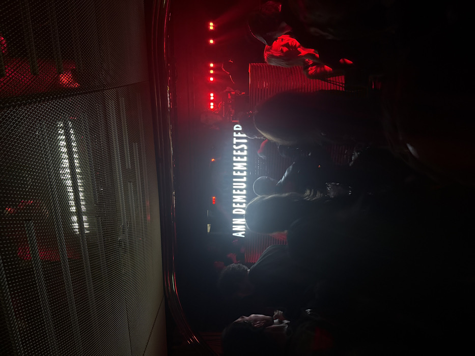 The image displays a crowded indoor event venue in Paris, France, characterized by low light and a dominant red hue. Centrally positioned, a bright white neon sign spells out "ANN DEMEULEMEESTER". Numerous individuals, primarily seen in silhouette or partially illuminated by the red lighting, occupy the foreground and midground, generally facing towards the sign and the rear of the room. The ceiling features a dark, industrial-style metallic mesh grid. Behind the neon sign, several red stage lights are visible, casting intense illumination on equipment and obscured figures, one of whom appears to be operating a console or DJ booth. Horizontal metallic panels are discernible beneath the stage area. On the right, a woman's profile is clearly visible, illuminated by the red light, looking towards the center of the scene. The overall environment suggests a modern, potentially avant-garde fashion event or nightclub setting.