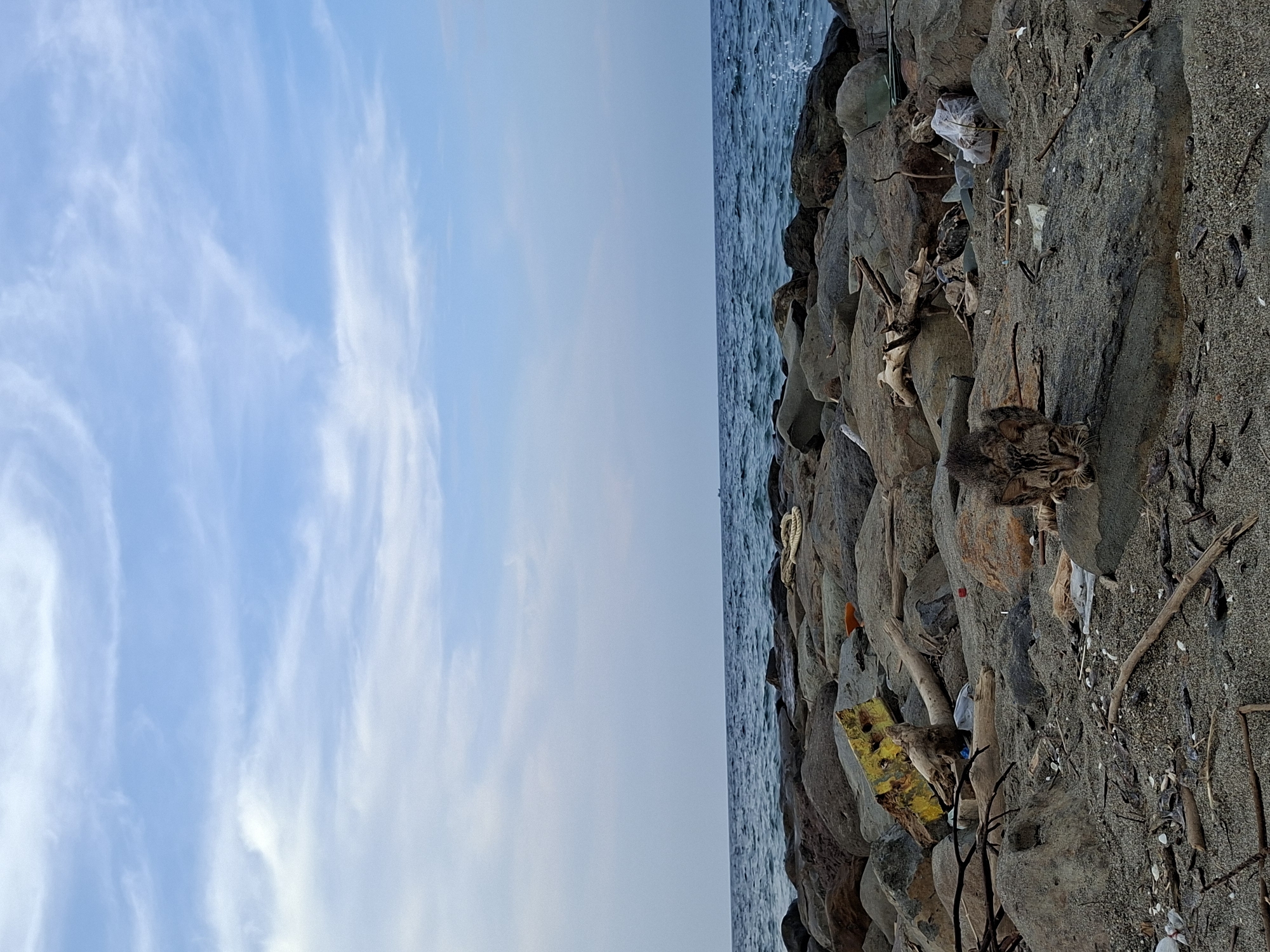 The photograph depicts a beach scene in Lhokseumawe, Indonesia. The image is divided vertically; the left portion features a sky with light, wispy clouds, while the right shows a rocky shoreline abutting the ocean. Debris and trash are scattered among the rocks. A tabby cat is visible, resting among the rocks and garbage. The sea is a dark blue. The entire scene appears to be heavily polluted.