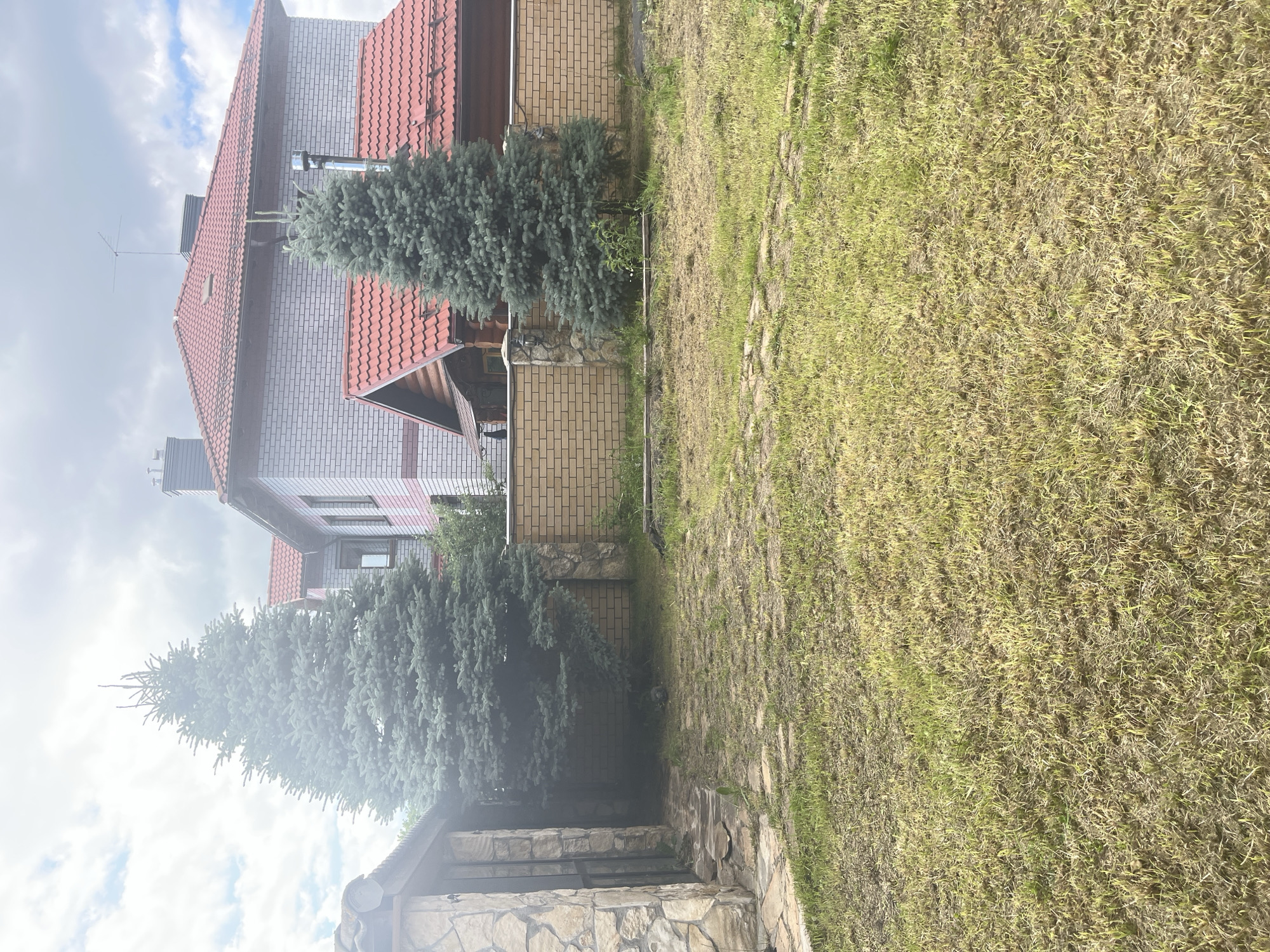 In the city of Orekhovka, Russia, a yard with dry grass is visible. A stone outbuilding with a metal door is on the left. A brick wall with stone pillars and two large evergreen trees are in the center of the image. Behind the wall, a wooden structure with a red tiled roof is partially visible. A larger house with a red tiled roof and white brick walls is also present. The sky is cloudy.