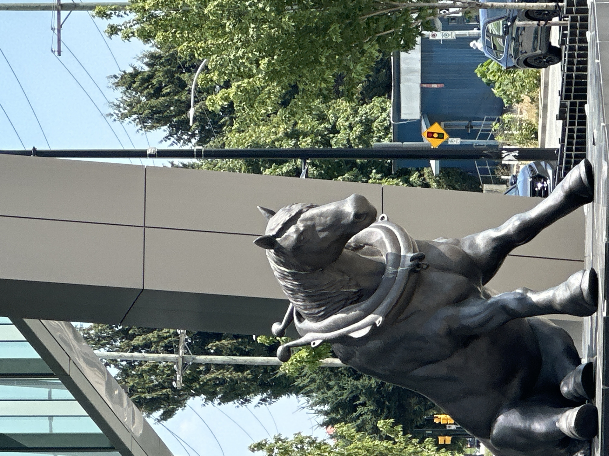 The image shows a bronze statue of a horse sitting down, with a harness around its neck. The statue is in front of a modern building with glass windows and grey panels. Behind the building, there are trees and a clear blue sky. To the right of the statue, there is a street with cars and traffic lights. The location is in Burnaby, Canada.