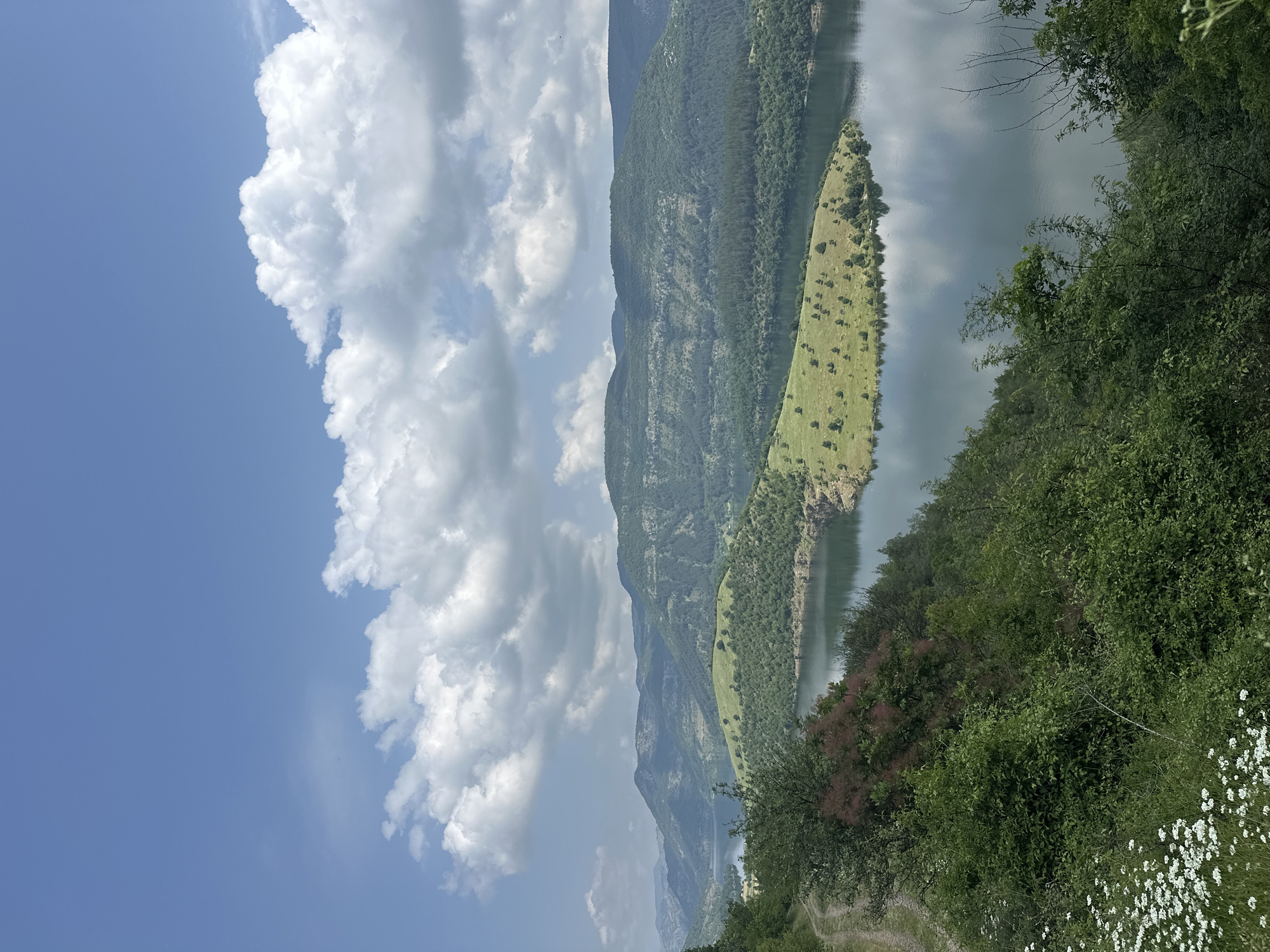 This image presents a vibrant, expansive natural landscape, characteristic of a mountainous or hilly region with a significant body of water, identified as Star Chitak, Bulgaria. The photograph is oriented vertically, showing the horizon line diagonally across the frame.

The upper-left portion of the image is dominated by a clear, bright blue sky filled with large, fluffy white cumulus clouds, indicating fair weather. Below the sky, a winding river or reservoir stretches across the midground. On the far side of the water, steep, verdant mountains, densely covered in dark green trees, rise majestically and recede into the distance.

A prominent feature in the midground is an elongated, gently sloping peninsula or island, covered in bright green grass with scattered shrubs and small trees. This landform juts into the calm, reflective water. The water itself is a muted grey-green, mirroring the sky and surrounding land.

In the immediate foreground, occupying the lower-right section, are dense clusters of lush green foliage, including bushes and trees, some displaying reddish-brown leaves. A patch of small white wildflowers adds a delicate detail to the bottom right corner of the frame.

The scene captures a peaceful, unspoiled natural environment. No people, structures, or specific activities are visible. The bright lighting suggests it is daytime, likely late morning or early afternoon, under clear and sunny conditions. There is no visible text in the image.