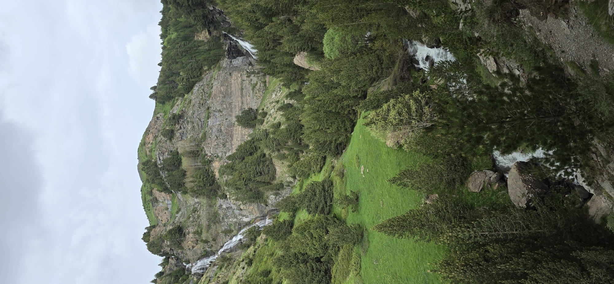 A landscape photograph depicts a rugged mountainside in Benasque, Spain. The foreground features lush green grass transitioning into dense coniferous forest. A prominent rocky cliff face ascends vertically, punctuated by patches of greenery and cascading waterfalls. The sky is overcast, suggesting a temperate climate. The photograph captures the natural beauty of the Pyrenees region.
