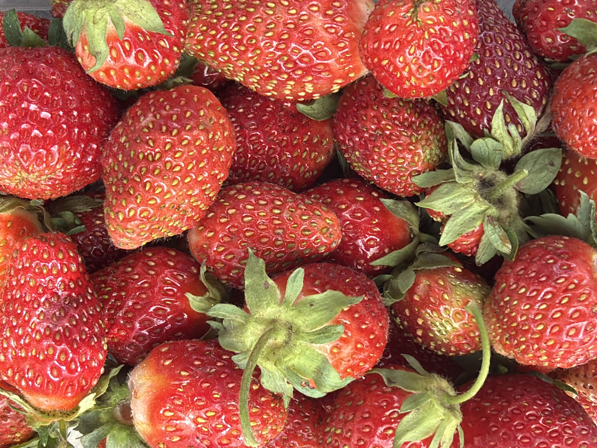 This is a close-up, overhead, full-frame photograph of a pile of fresh, ripe strawberries. The strawberries are bright red with visible seeds on their surface and green stems and leaves. They are packed closely together, filling the entire frame. There is no discernible environment or location in this image, as it focuses solely on the fruit. The photograph does not show any people, actions, or interactions.