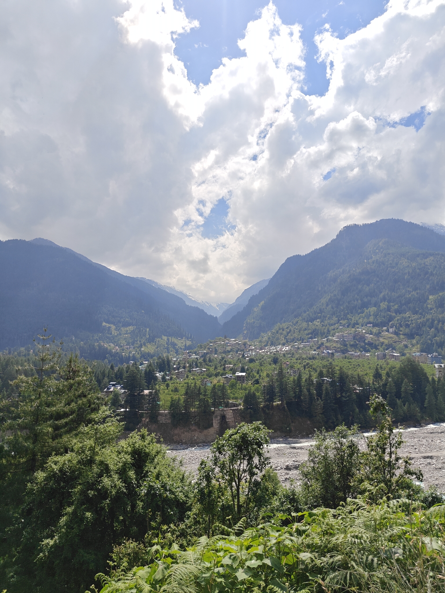 This panoramic image presents a majestic view of a mountain valley in Manali, India, under a bright, partially cloudy sky. Towering mountains, densely covered in various shades of green foliage and pine trees, flank both sides of the valley, stretching into the distance. In the far background, hints of snow or ice can be seen on the highest peaks, characteristic of the Himalayan range.
Nestled within the verdant valley is a town or village, with numerous buildings featuring light-colored roofs scattered across the lower mountain slopes and along the riverbed. The settlement appears well-integrated with the natural environment, surrounded by dense forests.
In the mid-ground, a wide riverbed, filled with light-colored rocks and pebbles, winds through the valley. The water level appears low, or the river might be seasonal, leaving much of its bed exposed. A wall or embankment can be seen running alongside parts of the riverbed, possibly indicating human infrastructure.
The foreground is dominated by lush, green vegetation, including various trees, shrubs, and ferns, creating a rich texture and framing the scene from a slightly elevated perspective.
The sky is a prominent feature, filled with large, fluffy white and grey cumulus clouds, interspersed with clear patches of bright blue. The lighting suggests it is daytime, likely late morning or early afternoon. The overall scene conveys a sense of tranquility and natural grandeur. There are no people visible, nor any discernible text.