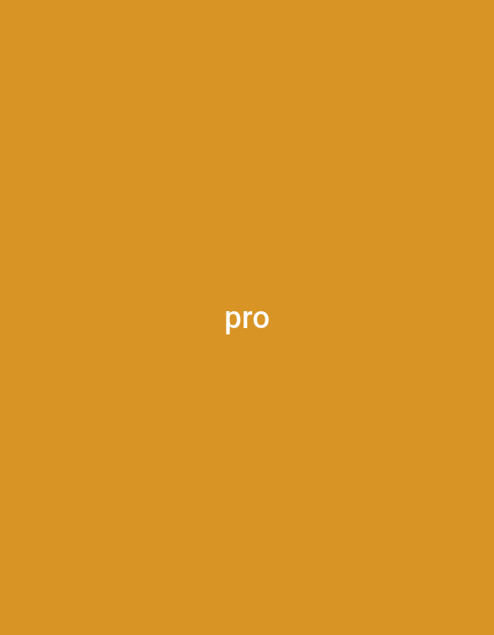 The image shows the word "pro" in white text against an orange background. There is no discernible location in Yerevan, Armenia, or other environmental details.