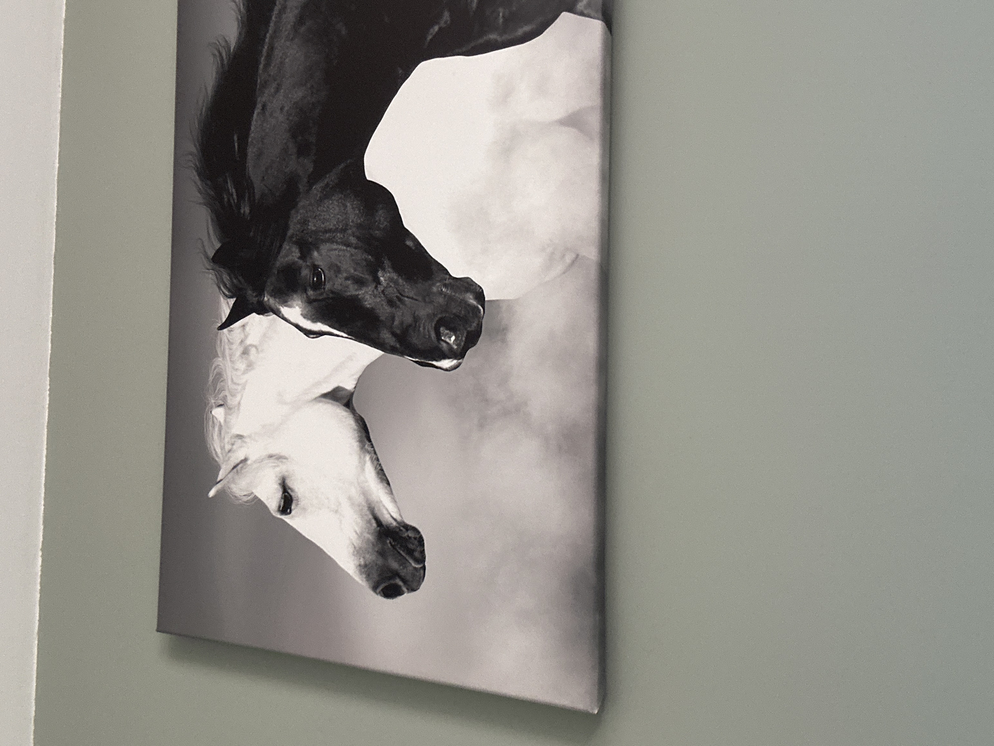 The image shows a black and white canvas print hanging on a light green wall. The print features two horses, one black and one white, with their heads overlapping in a way that suggests yin and yang. The background of the print is a soft, blurred grey, and the canvas appears to be stretched over a wooden frame. No people, actions, or specific environment are visible beyond the wall and the artwork. There is no indication of the location being Sofia, Bulgaria.