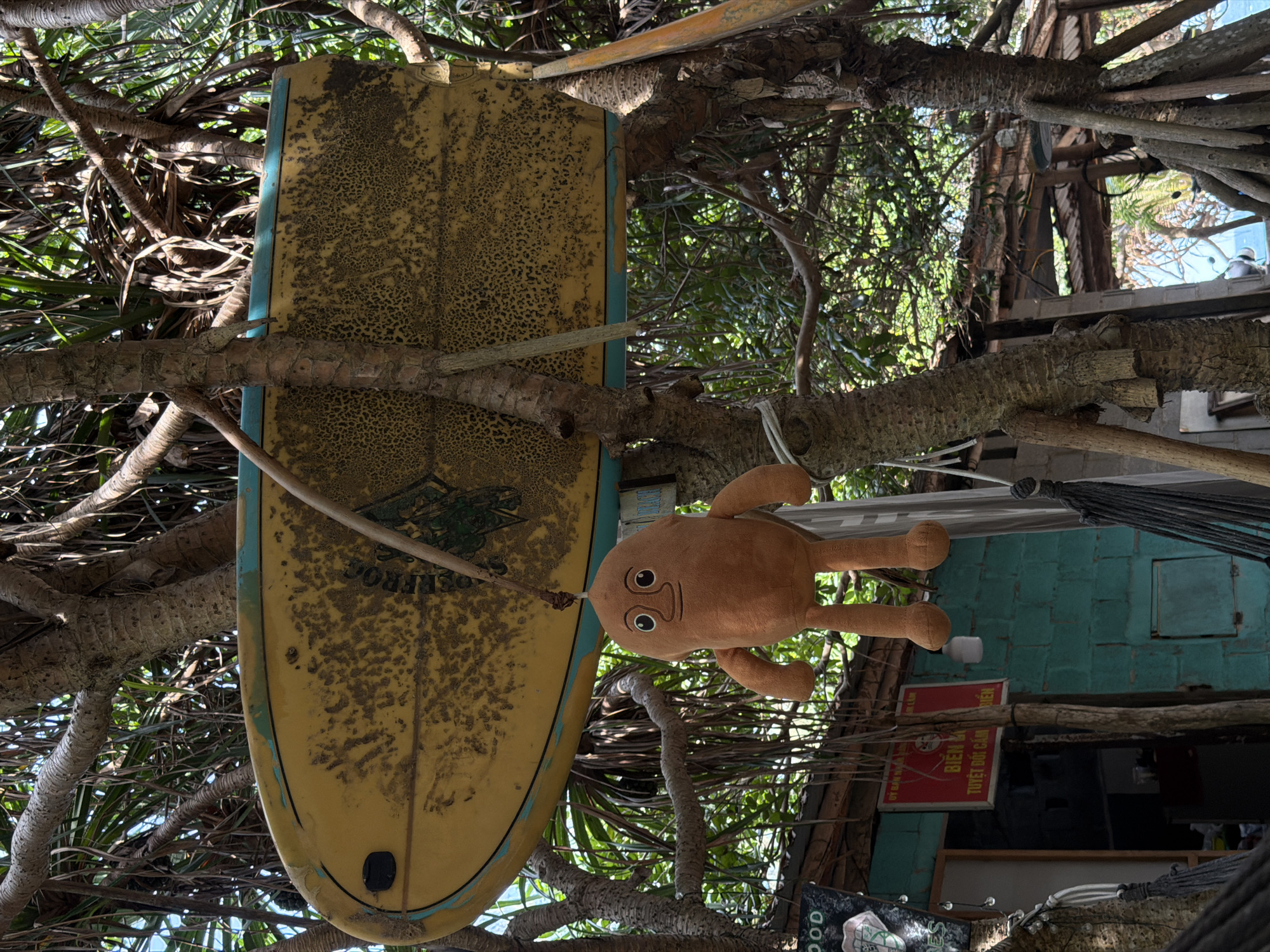 A medium shot in an outdoor setting in Cam Lam, Vietnam, featuring an upside-down yellowed surfboard with a light blue edge mounted on a tree branch. Next to the surfboard, also suspended from the branch, hangs a brown, stuffed, humanoid toy. The background includes tropical foliage and what appears to be a partially visible building with signs in Vietnamese. A hammock is strung nearby. The setting appears to be a casual outdoor space possibly associated with a cafe or recreational area.