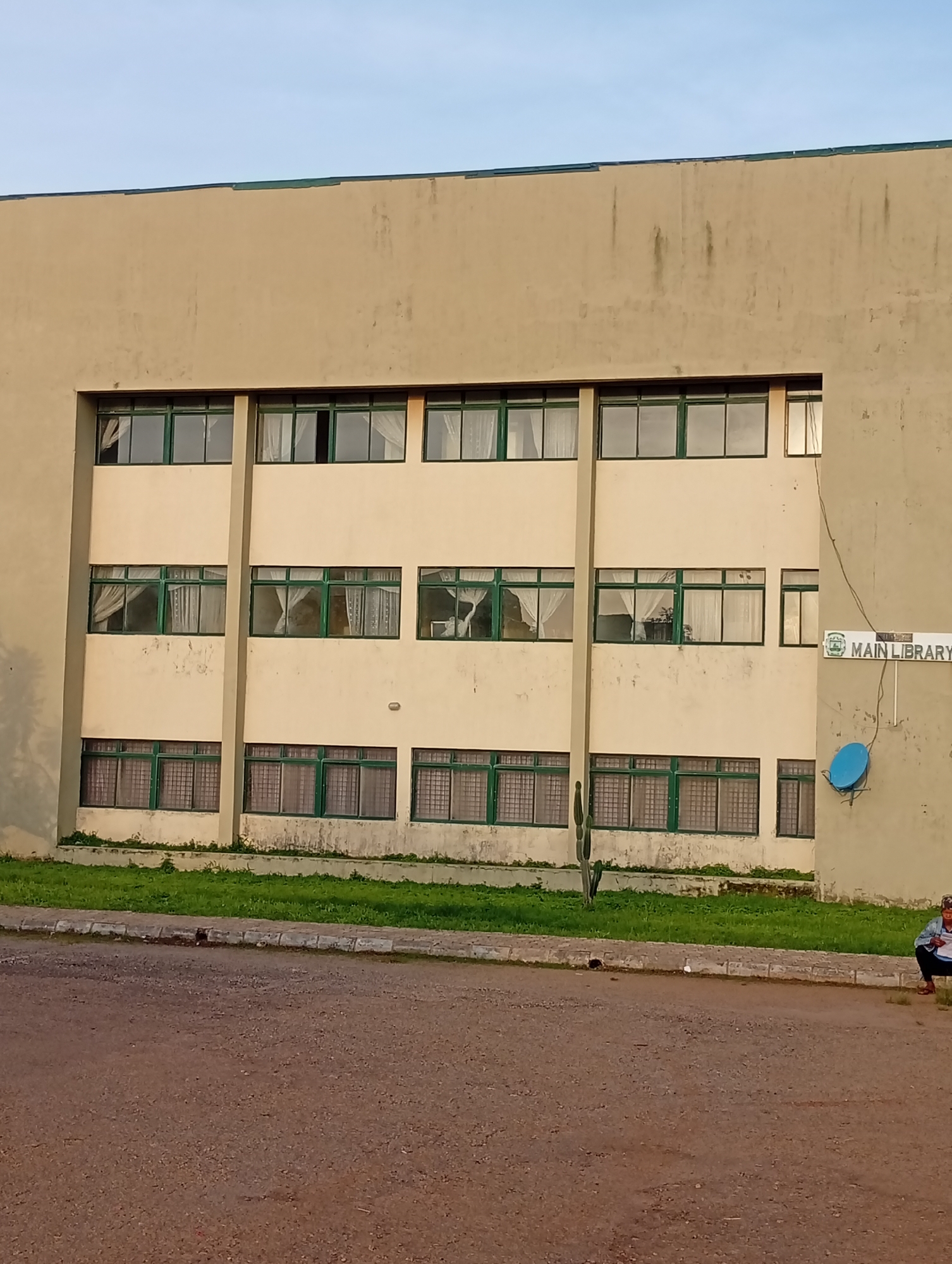 The image shows the exterior of a building with a sign that reads "MAIN LIBRARY". The building is beige with green-framed windows on multiple levels. There is a blue satellite dish mounted on the side of the building. A single cactus stands in front of the building near the lower left corner. A person is partially visible on the right side of the image, crouching down on the ground in front of a paved area. The background consists of a clear sky and some vegetation. The location of Durumi, Nigeria is stated.