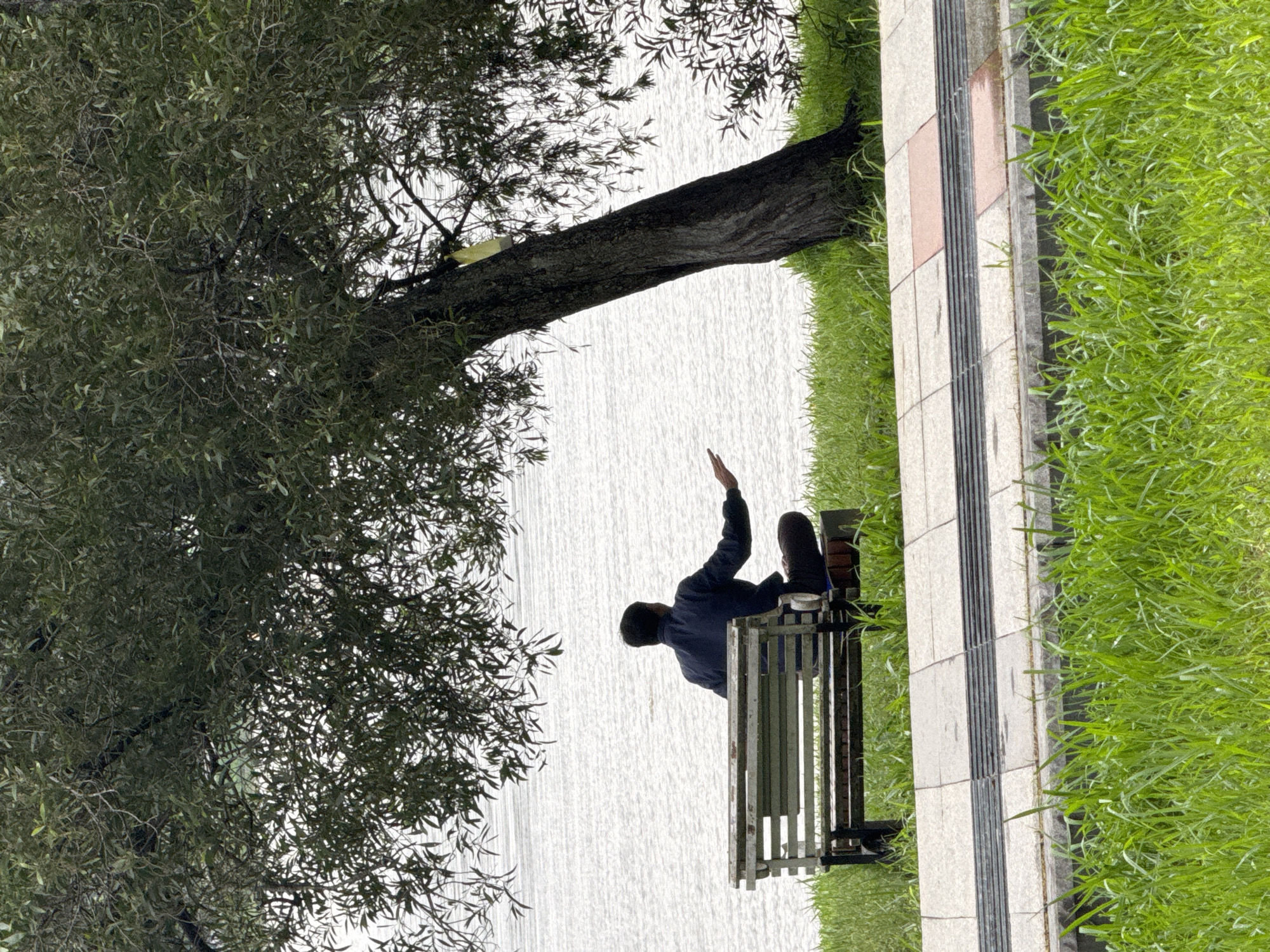 An outdoor scene captured from a slightly elevated perspective shows a man sitting on a park bench by a body of water in Phường Xuân Hương - Đà Lạt, Vietnam. The image is oriented vertically, with the man's right side facing the viewer. He is seated on a wooden bench, seen from behind, wearing a dark jacket and trousers, with his right arm raised and bent at the elbow, possibly resting on the bench's backrest or making a casual gesture towards the water.
To the man's left, a large, dark-barked tree with abundant dark green foliage extends over the water, framing the left side of the view. The body of water, likely Xuân Hương Lake, occupies the central and background areas, appearing bright and textured under an overcast sky, suggesting diffused light.
To the man's right, a paved walkway or path runs parallel to the water's edge. The path features light grey paving stones with darker grey strips and some reddish-brown sections. Beyond the path, a strip of vibrant green grass extends to the right, completing the park-like setting. The overall impression is one of peaceful observation or contemplation by the lakeside on a cloudy day. There is no visible text in the image.