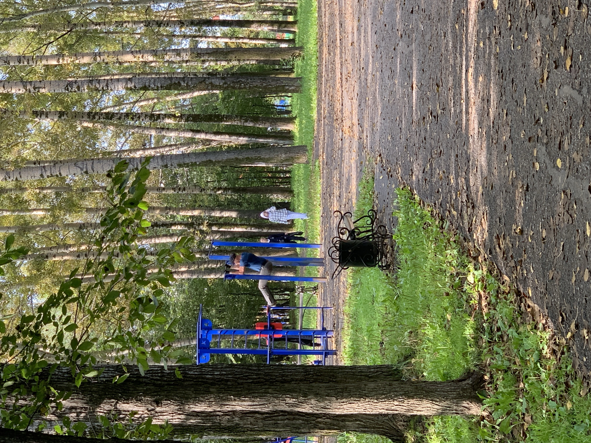 The image depicts an outdoor scene in a park with a gravel path in the foreground, lined with grass and trees. In the background, a cluster of tall, thin birch trees with white and grey bark dominates the landscape. A young man is performing a pull-up on a blue horizontal bar as part of an outdoor gym setup. Several other people are visible in the distance, including a woman in a light-colored jacket and a person in dark clothing. The park appears to be a public recreational area, possibly a part of Prokopyevsk, Russia, given the typical birch tree prevalence in Russian parks and its association with the city. The time of day appears to be late afternoon, as indicated by the dappled sunlight and shadows cast on the path.