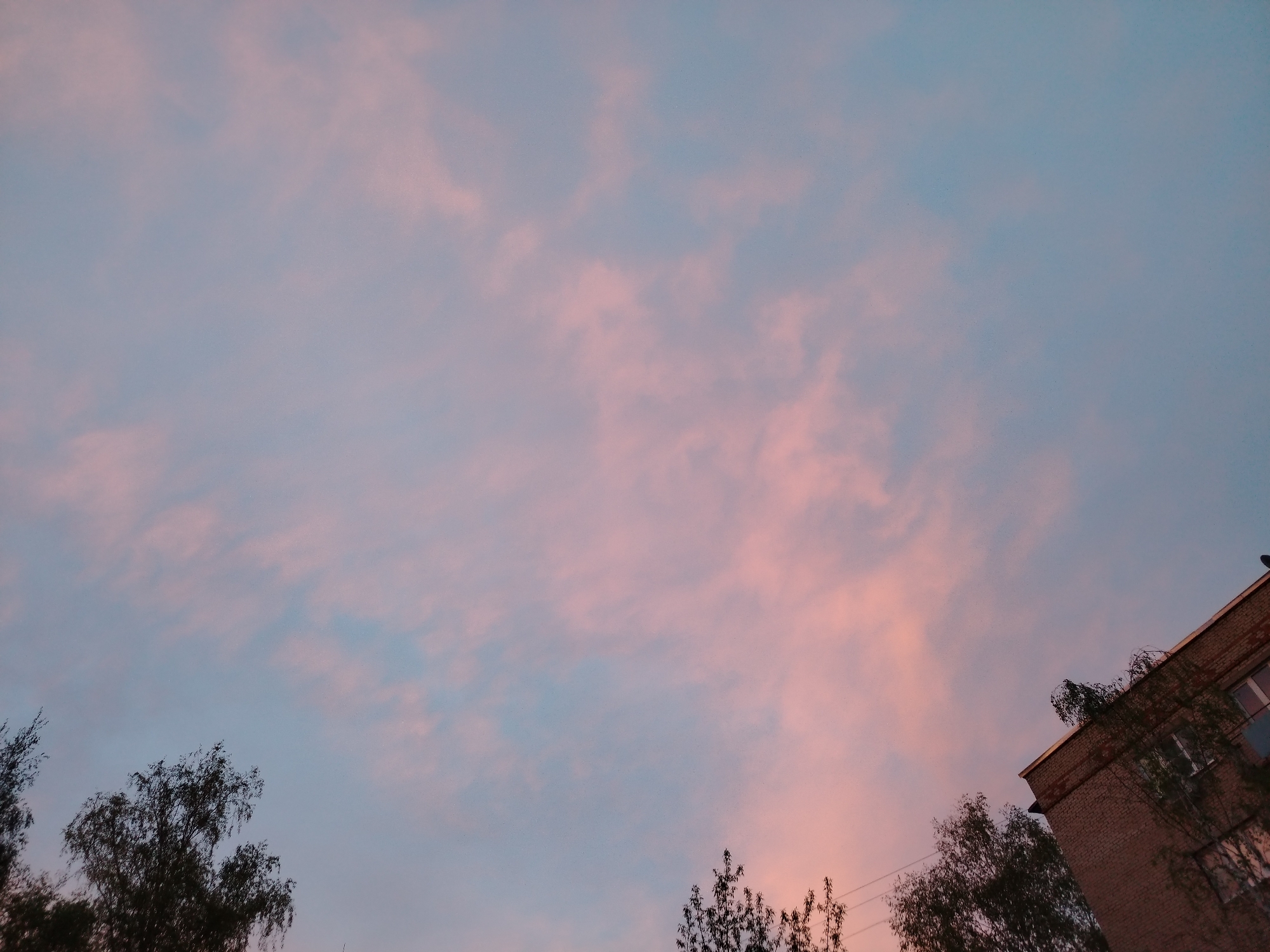 A low-angle shot captures a pastel-colored sky at twilight. Streaks of pink and pale orange illuminate the clouds scattered across the light blue expanse. In the foreground, silhouettes of bare trees frame the lower edges of the image. To the lower right, a brick building with visible windows and a rooftop is partially obscured by foliage, indicating a residential area. The location is Unknown, Unknown.