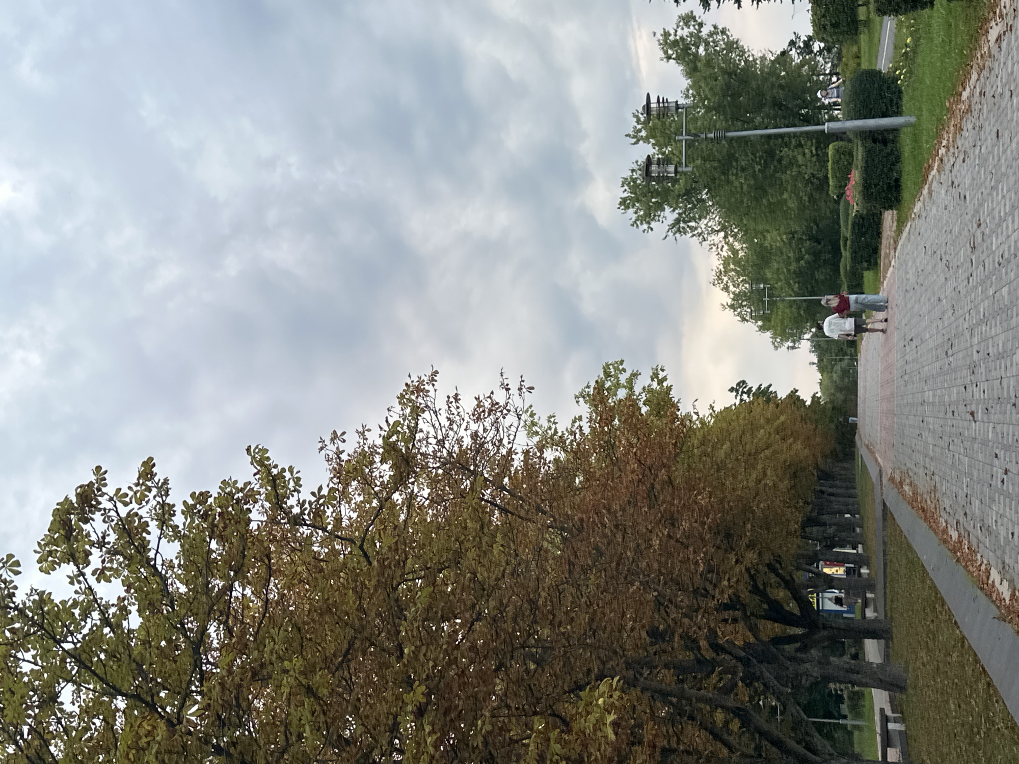 The image depicts a pedestrian pathway in a park, likely in Minsk, Belarus, given the architectural style of the lampposts and the general aesthetic of the park. The pathway, paved with light-colored rectangular tiles, stretches into the distance, lined by trees with autumnal foliage on the left and manicured hedges and lush green trees on the right. The sky is overcast with heavy clouds, suggesting a cool, possibly damp day.
In the mid-ground, two individuals, a man and a woman, are walking away from the viewer on the pathway. The man wears a white t-shirt and dark shorts, while the woman is in a red top and light-colored pants. Further down the path, a person on a bicycle is visible, also moving away. In the background, through a gap in the trees, hints of urban structures, possibly shopfronts, are discernible. Benches are placed along the grassy area bordering the pathway on the left. The ground beneath the trees is covered with fallen leaves, reinforcing the autumn season. The overall impression is one of a quiet, leisurely day in a city park.