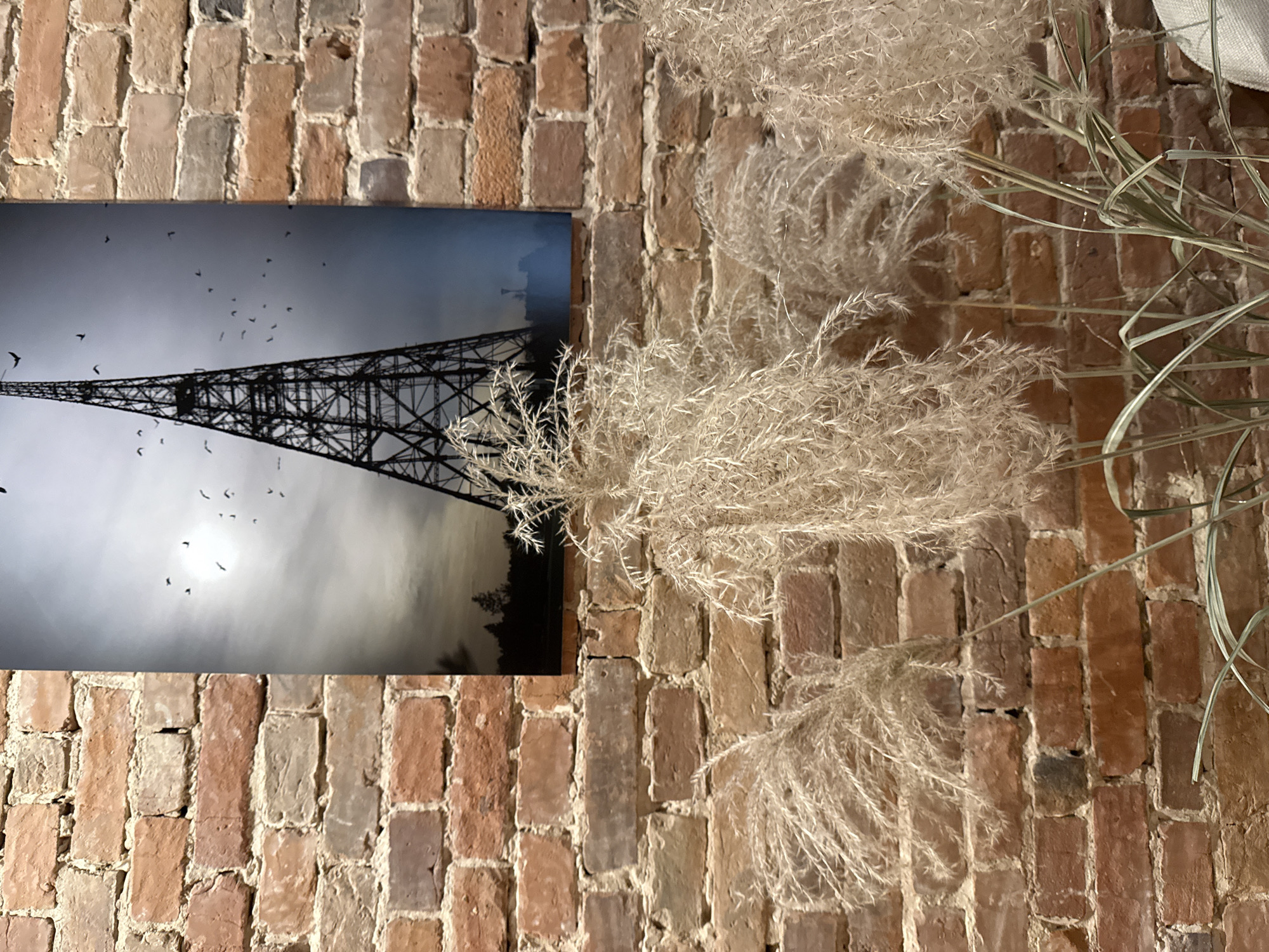 An eye-level, medium shot captures a section of a brick wall adorned with a framed photograph. The photograph depicts a tall, dark, skeletal radio tower silhouetted against a hazy, pale sky filled with scattered birds. In the foreground, several tall, feathery stalks of dried grass or reeds stand against the brick wall, their plumes gently illuminated. The brick wall itself is made of unevenly sized red and gray bricks, showing signs of age and wear. The overall impression is one of rustic and somewhat dramatic interior decor.