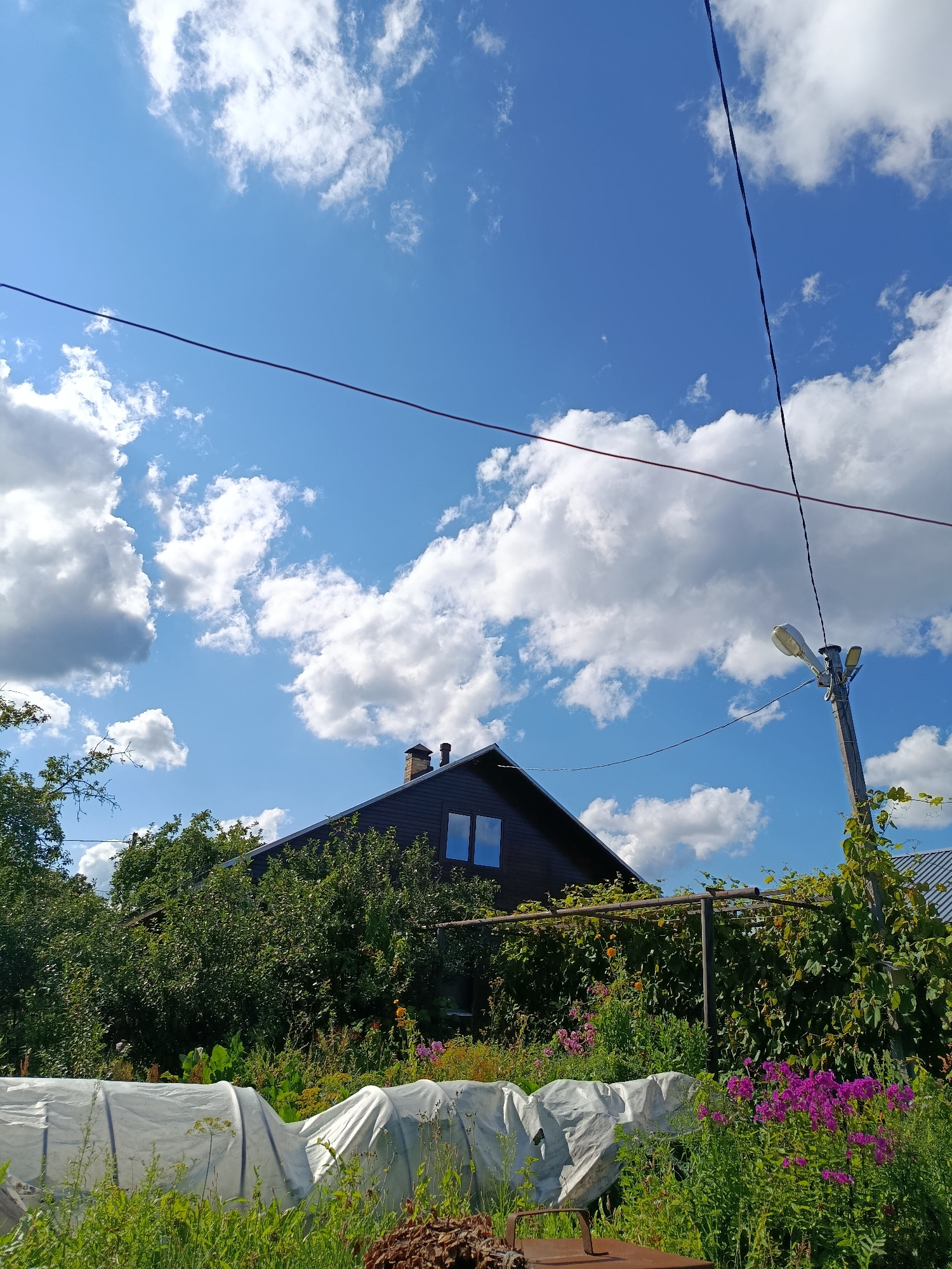 The image shows a clear blue sky with scattered white clouds, an overhead power line crossing the frame diagonally, and a residential building with a dark roof and two windows on the upper floor. A chimney is visible on the roof. In front of the building, there is dense green foliage, including trees and vines. A lamppost stands to the right of the house, with a light fixture and a curved arm. The foreground features a covered structure, likely a greenhouse or protection for plants, made of white plastic sheeting. There are also various flowering plants, including purple flowers, and tall green grass. The overall scene suggests a rural or suburban setting in the city of Vereya, Russia, during daylight hours.