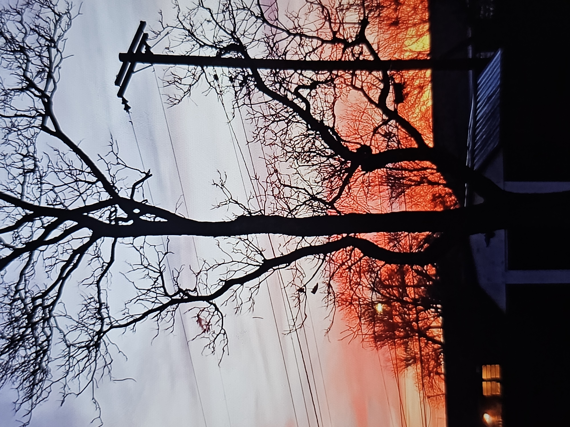 The image depicts a silhouetted scene of trees and a utility pole against a vibrant sunset sky. The sky transitions from a pale blue-gray at the top to fiery oranges and reds near the horizon. Bare branches of trees dominate the foreground, creating intricate patterns against the colorful sky. A single utility pole with crossbars stands to the right of the frame, with power lines extending horizontally across the image. In the lower part of the image, the dark silhouettes of buildings are visible, including a structure with a corrugated metal roof and a building with illuminated windows. The scene appears to be located in an outdoor setting, possibly a residential or semi-rural area, with elements of the urban infrastructure present. No people or animals are clearly discernible in the image. The overall impression is one of a dramatic natural phenomenon juxtaposed with human-made structures.