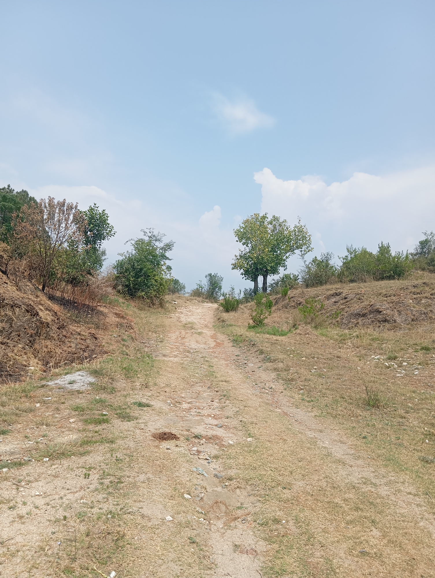 The image depicts an uphill dirt road in Hakale, Pakistan. The road is unpaved and appears to be a path or track rather than a formal road, with dry grass and some sparse vegetation on either side. The terrain is uneven and rocky in places, with a slight incline leading towards the upper portion of the image. Several trees and bushes are scattered along the sides of the road, some with green foliage and others appearing dry or sparse. The sky above is light blue with scattered white clouds. There are no people or animals visible in the scene. The environment appears natural and somewhat rugged, characteristic of a rural or mountainous area.