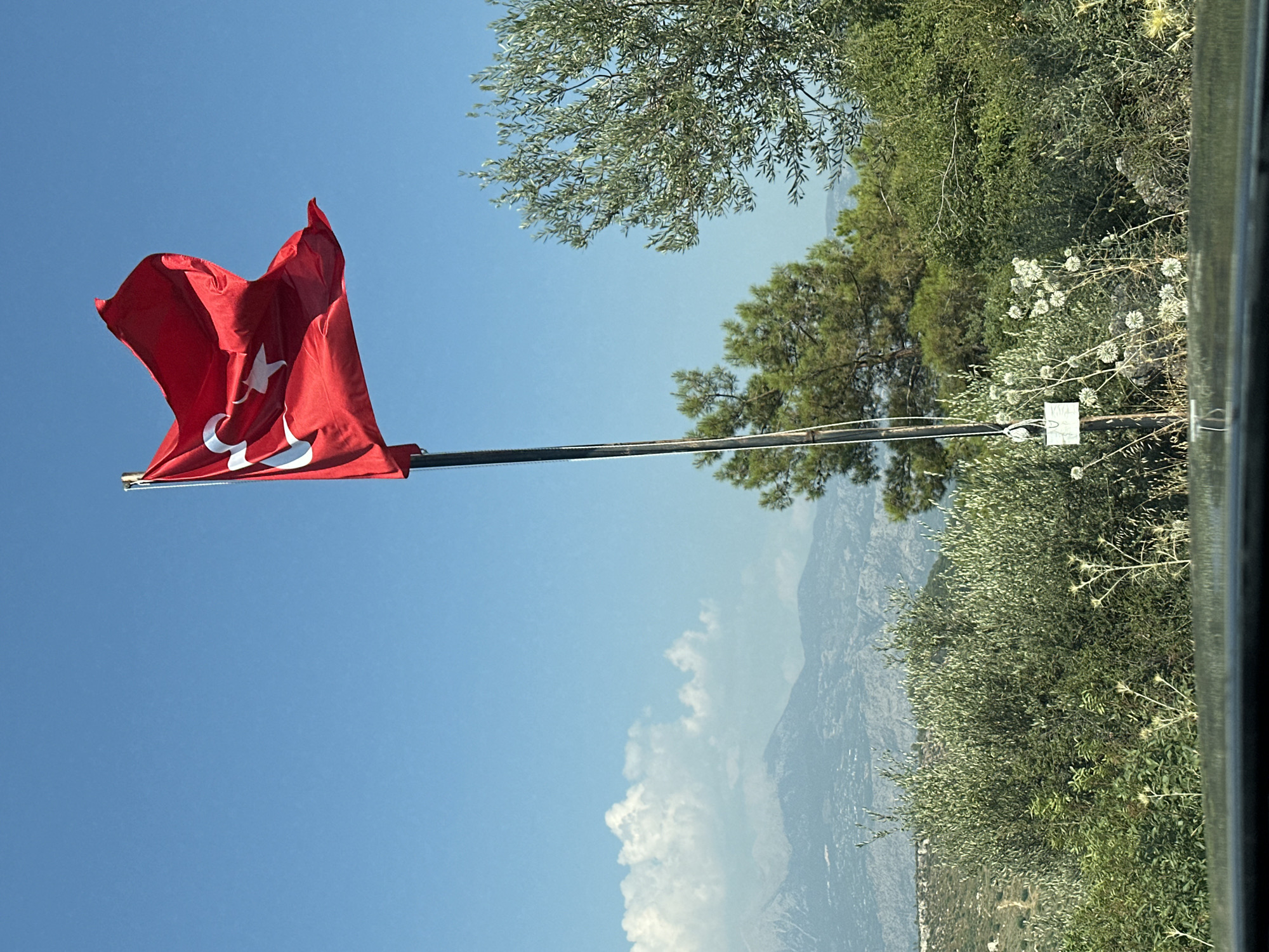 An outdoor, eye-level, vertical shot captures a Turkish flag prominently displayed against a clear blue sky, its red fabric with white crescent and star rippling in the breeze. The flag is attached to a tall, thin, dark flagpole. In the mid-ground, a dense arrangement of lush green trees, including what appears to be an olive tree with silvery-green foliage on the right and a conifer on the left, fills the frame. Scattered amongst the trees are a few spiky, dried-out plants with white seed heads. In the background, hazy, layered mountains stretch across the horizon under a sky dotted with soft white clouds. A glimpse of a road or path can be seen winding up a distant hillside. The foreground is dominated by a reflective dark surface, possibly the hood of a car, showing subtle distortions. This scene is located in the Seydikemer region of Turkey, known for its mountainous terrain and agricultural landscapes, particularly olive groves.