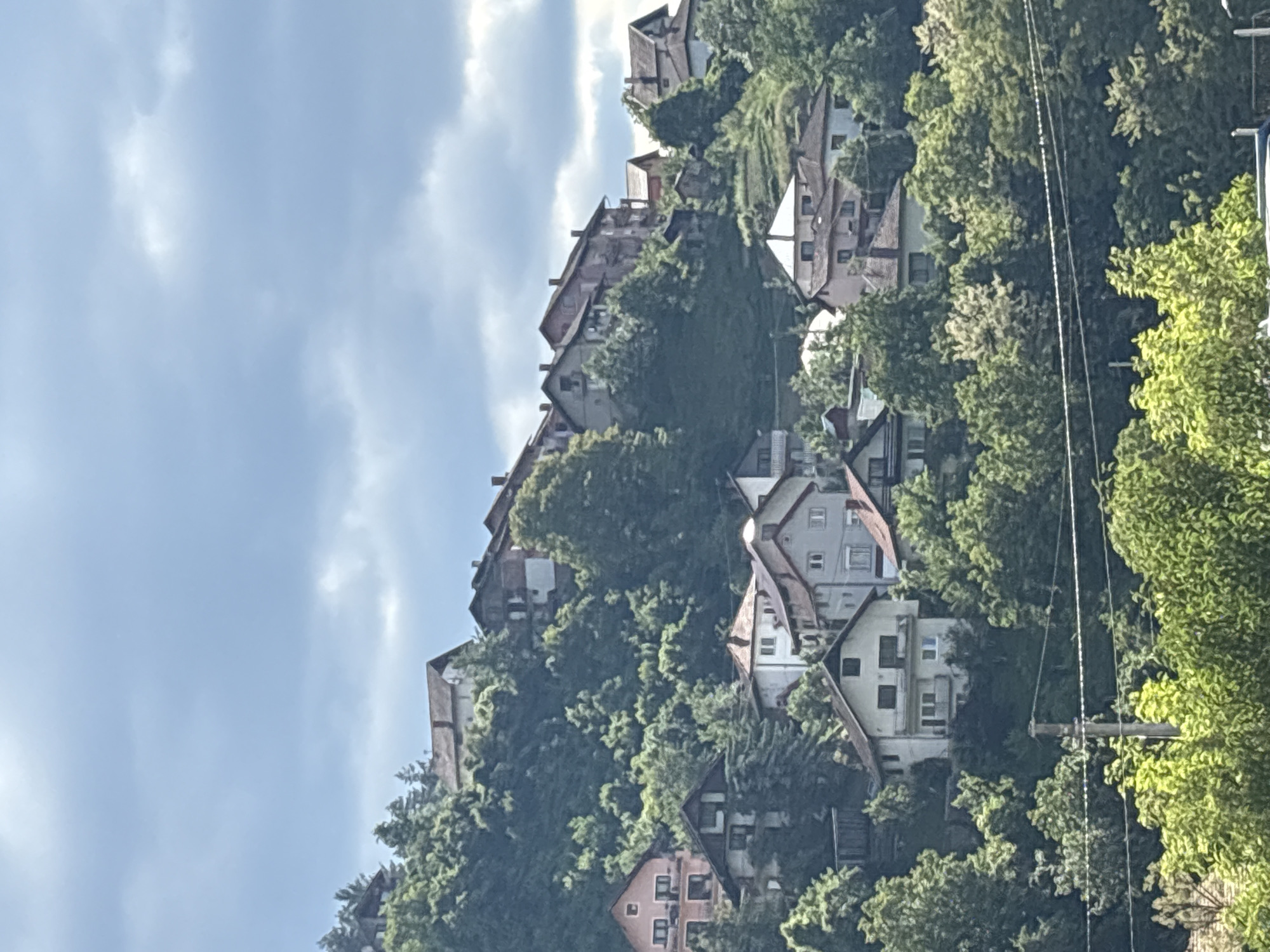 The image shows a hillside densely populated with houses, partially obscured by lush green trees, under a cloudy sky. The architectural style of the houses appears European, with pitched roofs. Utility poles with wires are visible on the right side of the image, interspersed within the foliage. Without specific landmarks, identifying the exact location within Foča, Bosnia and Herzegovina from this image alone is impossible.