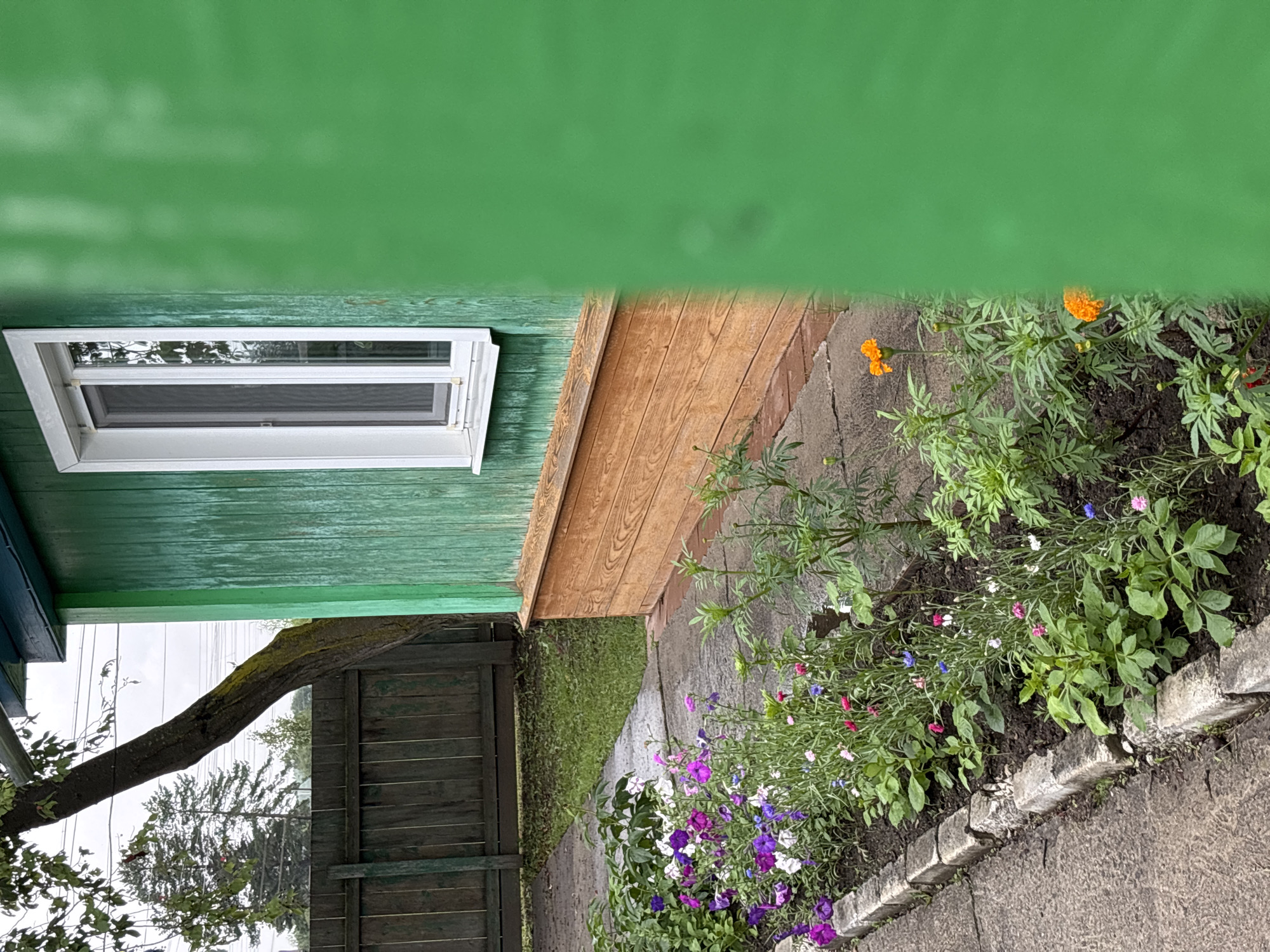 The image shows a close-up view of a green wooden house with a white-framed window and a wooden foundation. In front of the house, there is a flowerbed with various colorful flowers, including purple, pink, white, and blue. A concrete path runs alongside the flowerbed. A wooden fence and a tree are visible in the background. The location is the city of Gonja, Russia.