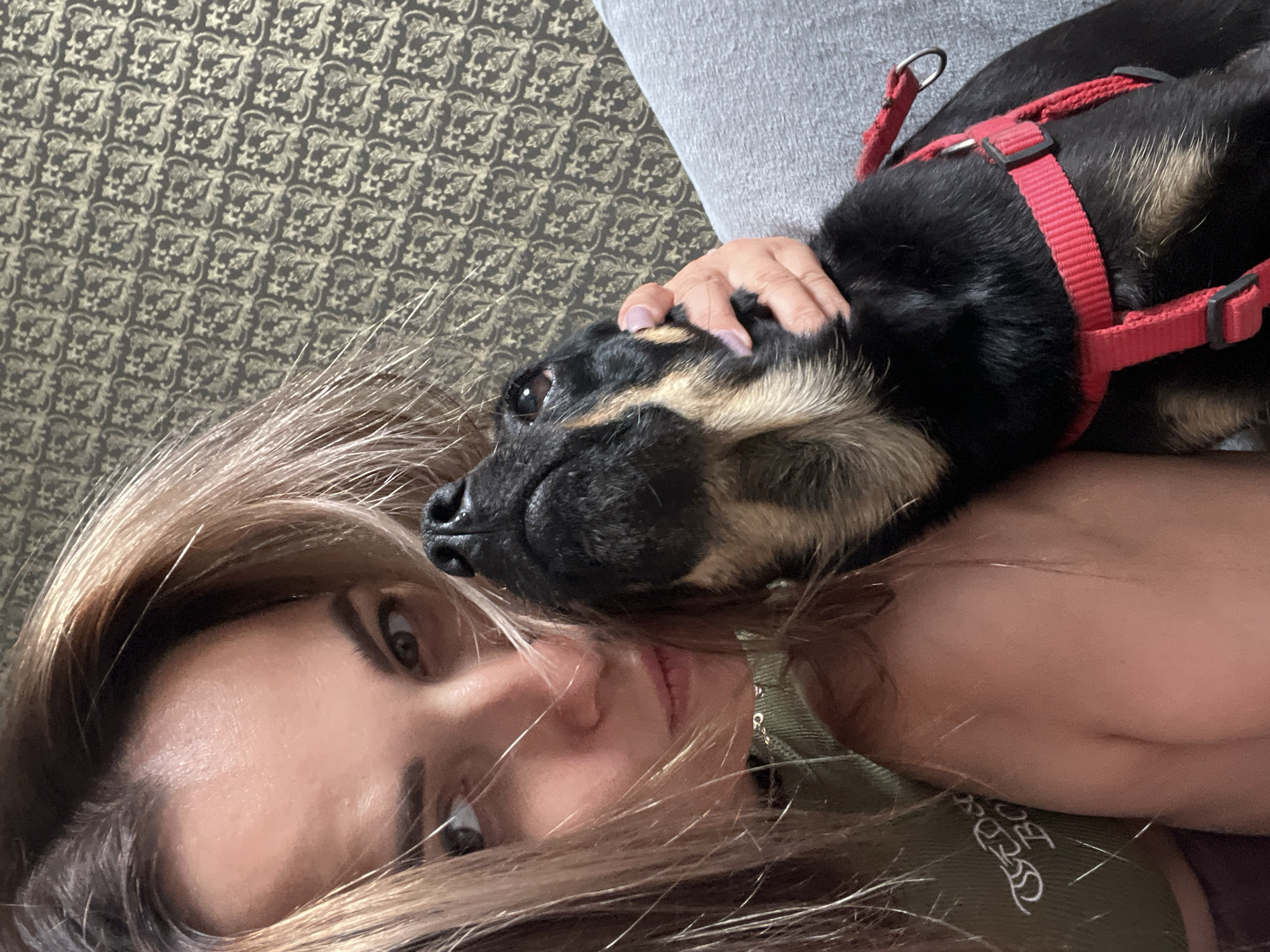 A woman and a dog are in a close-up, upper-body shot, indoors. The woman, on the left, has blonde hair that falls across her face and is looking towards the camera with a neutral expression. Her left arm is around the dog. The dog, on the right, is black and tan and looking up at the woman. The dog is wearing a red harness. The background consists of a patterned wallpaper and the woman's gray pants.