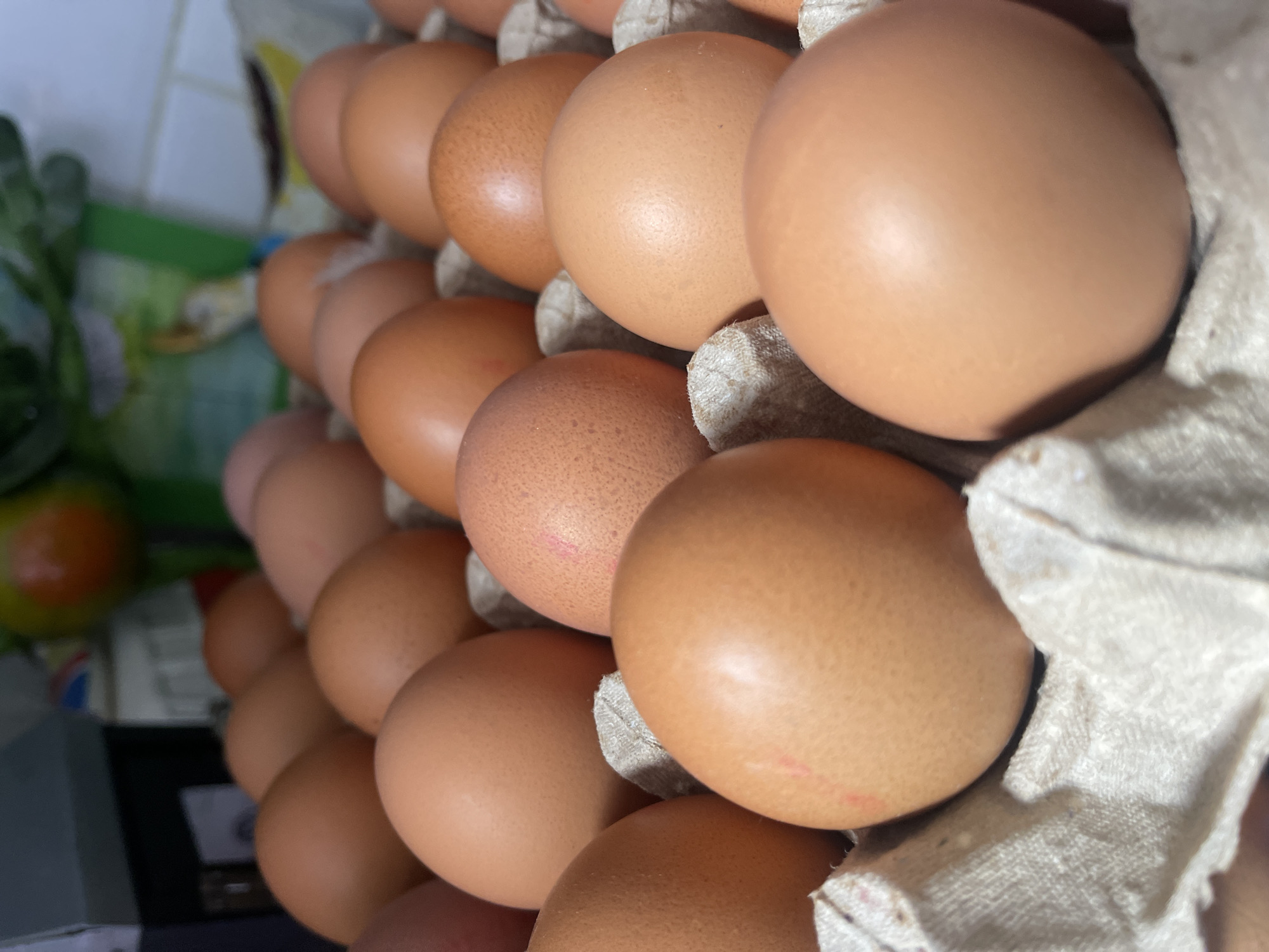 A close-up shot shows a cardboard egg carton filled with brown eggs. The carton is mostly full, with the eggs tightly packed next to each other. The eggs are all brown and appear to be fresh. The focus is on the eggs and the carton, with the background slightly blurred. It is not possible to determine the location in Maidstone, United Kingdom from this image. There are no people visible in the frame.