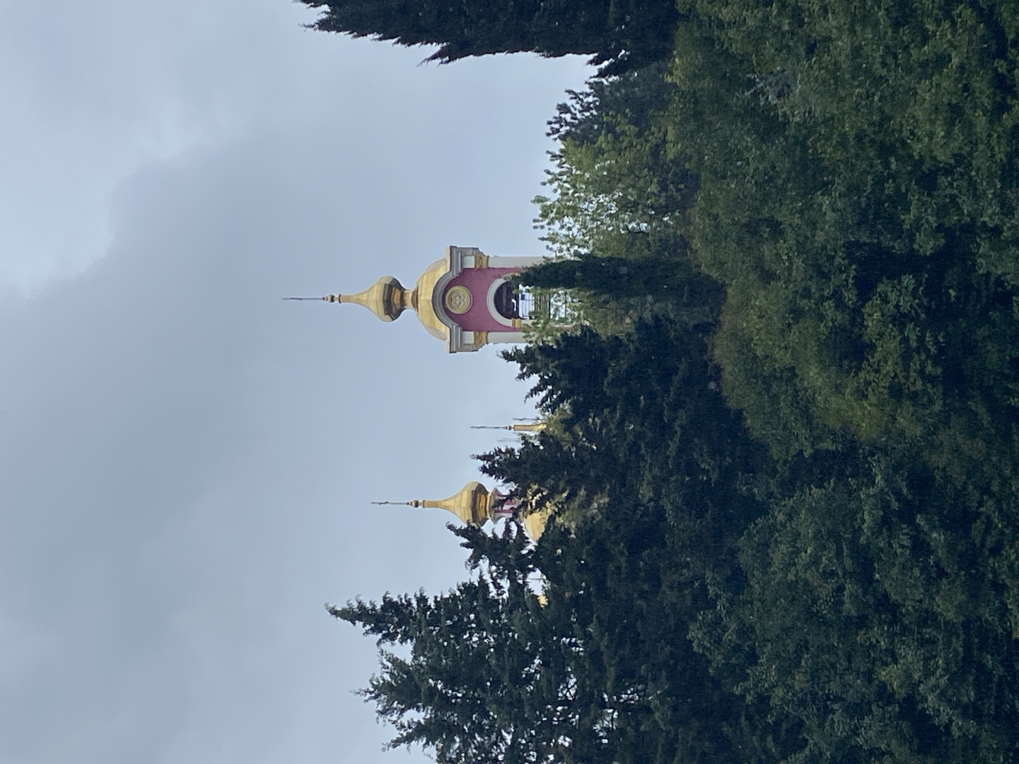 The image shows a partial view of the Sochi, Russia St. Michael the Archangel Cathedral, specifically two golden domes peaking above the surrounding greenery and a pink and white bell tower. The sky is overcast and the composition is framed by trees. No people are visible.