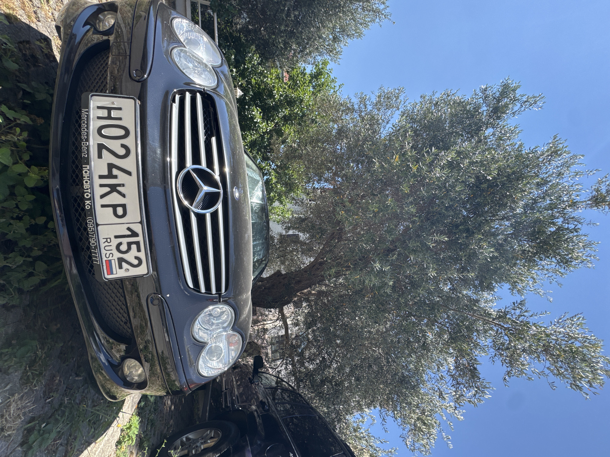 The image shows a low-angle view of a black Mercedes-Benz sedan parked outdoors, with a large olive tree in the background. The car's license plate reads "H024KP 152 RUS". A portion of a dark SUV is visible to the right of the Mercedes-Benz. The scene appears to be a sunny day, with a clear blue sky overhead. The environment suggests a private property or a parking area, likely in a Mediterranean or similar climate given the presence of the olive tree. The specific location in Trap, Montenegro, is not directly evident from the visual information in the image, but the presence of Russian license plates and text on the license plate frame ("Mercedes-Benz - ПАНАВТО Ко - (095) 790-7777") indicates a connection to Russia.