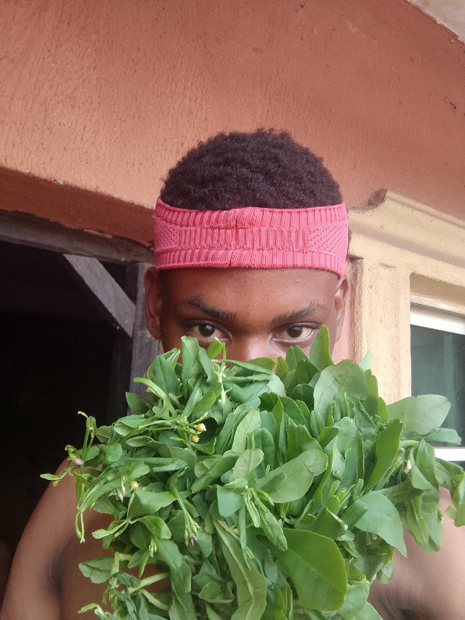 A close-up, eye-level shot features a young person, possibly male, with dark skin and short, curly dark hair. They wear a vibrant pink knitted or crocheted headband across their forehead. Most of their face is playfully obscured by a large, dense bunch of fresh, green leaves held up to their chin. Only their eyes, forehead, and upper ears are visible, with their dark eyes looking directly at the camera. Some small, light pinkish-purple flower buds are interspersed among the leafy greens. The person appears to be shirtless or wearing a dark garment that blends into the background.
The setting suggests an indoor/outdoor transition area, like a doorway or window opening. To the viewer's left and behind the person, a dark, undefined interior space is visible. To the right, a light beige or sandy-colored exterior wall or pillar with a white window frame or trim is partially seen. The wall directly above the person is a textured, salmon-orange color. The lighting indicates it is daytime. There is no visible text in the image. The person's expression is neutral to slightly curious, engaging the viewer through the foliage.