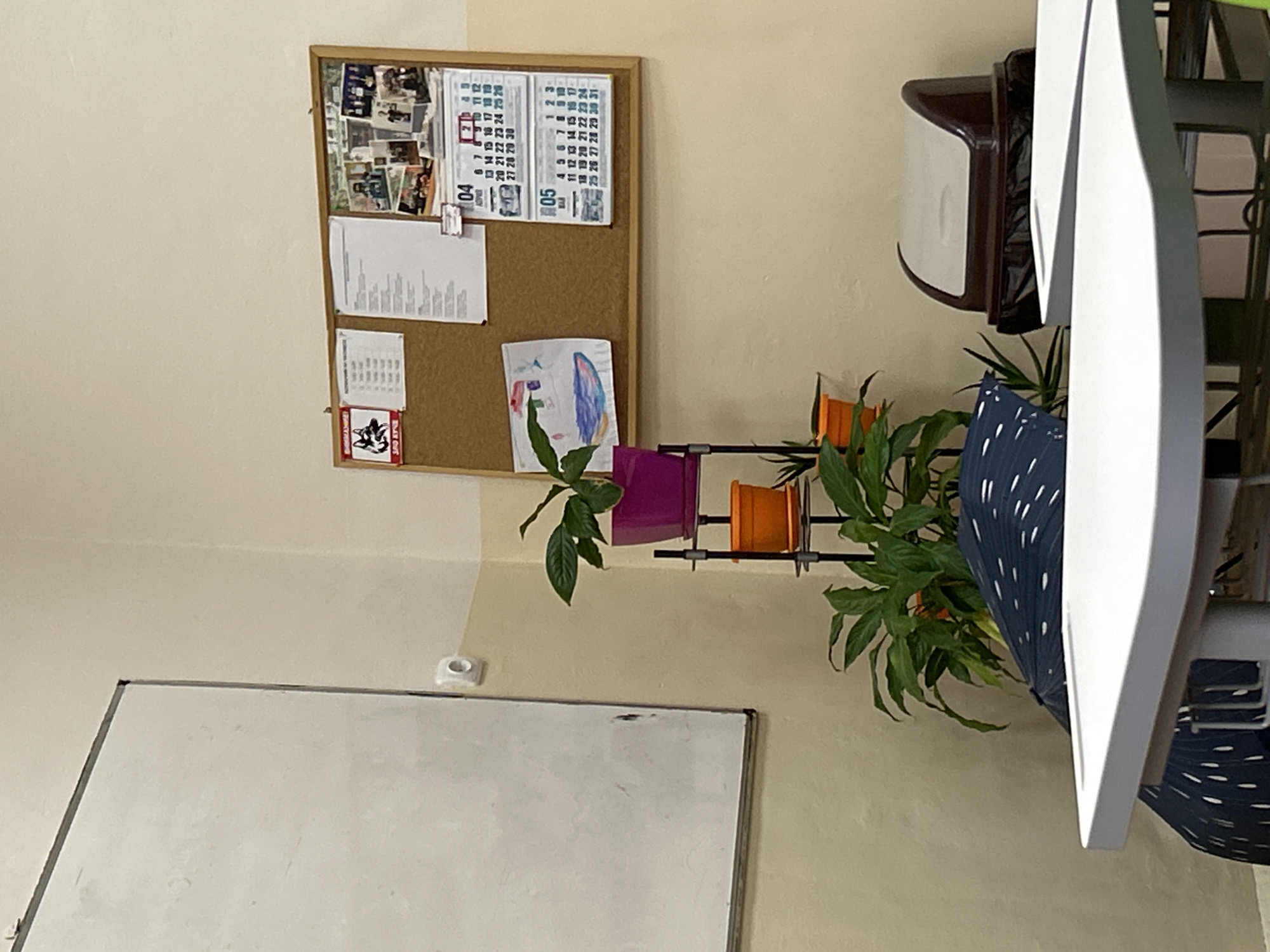Here is a description of the image:
The image shows a room interior. On the wall is a corkboard with various papers, photos, and calendars attached. Below it, a potted plant sits on a small shelf. Adjacent to the board and the plant is a whiteboard. A chair is also visible to the right of the frame. The overall lighting suggests an indoor setting, likely an office or a classroom. There is no indication of its location in Shumen, Bulgaria.