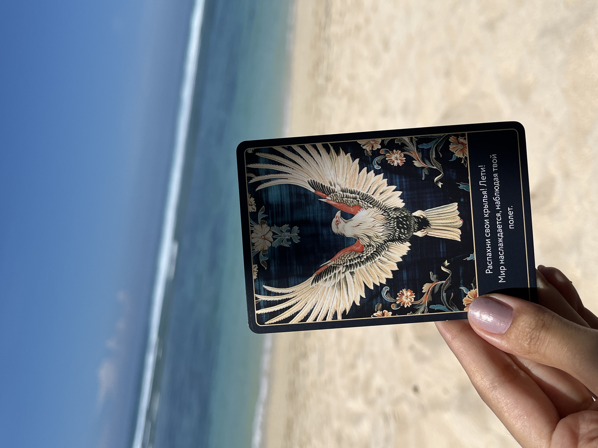 A person holds a card in front of a beach scene. The card depicts a bird with outstretched wings against a dark background with floral designs. The text on the card is in Russian and reads: "Распахни свои крылья! Лети! Мир наслаждается твой полет." (Spread your wings! Fly! The world enjoys your flight.)
The beach is located in Kuta Selatan, Indonesia, and is visible in the background. The sky is blue, and the ocean stretches to the horizon. The sand is light brown.