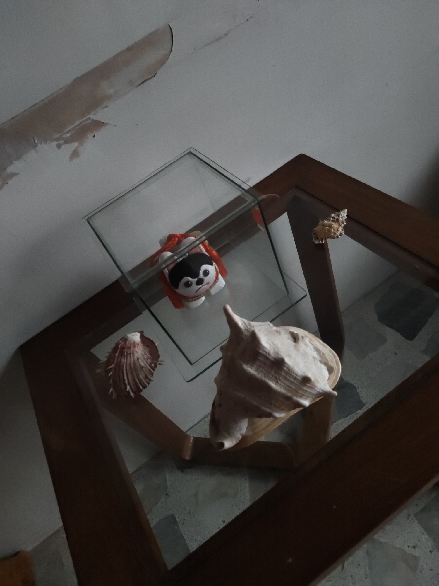 This is an indoor, high-angle shot of a glass-topped wooden table. The table displays several seashells and a plush toy inside a small glass cube. A large, spiral seashell sits on the glass surface in the foreground, to the left. A smaller, ridged seashell is positioned behind and to the left of the large seashell. To the right of the large seashell, also on the glass, is a smaller, light-colored seashell with prominent ridges. Inside the glass cube, a plush toy resembling a dog with black and white fur and a red scarf is visible. The background consists of a plain, light-colored wall with peeling paint in the upper left corner. The floor beneath the table appears to be tiled. The image is taken from a perspective that emphasizes the objects on the table and the textures of the surrounding surfaces. There is no indication of the location being in Davao City, Philippines.