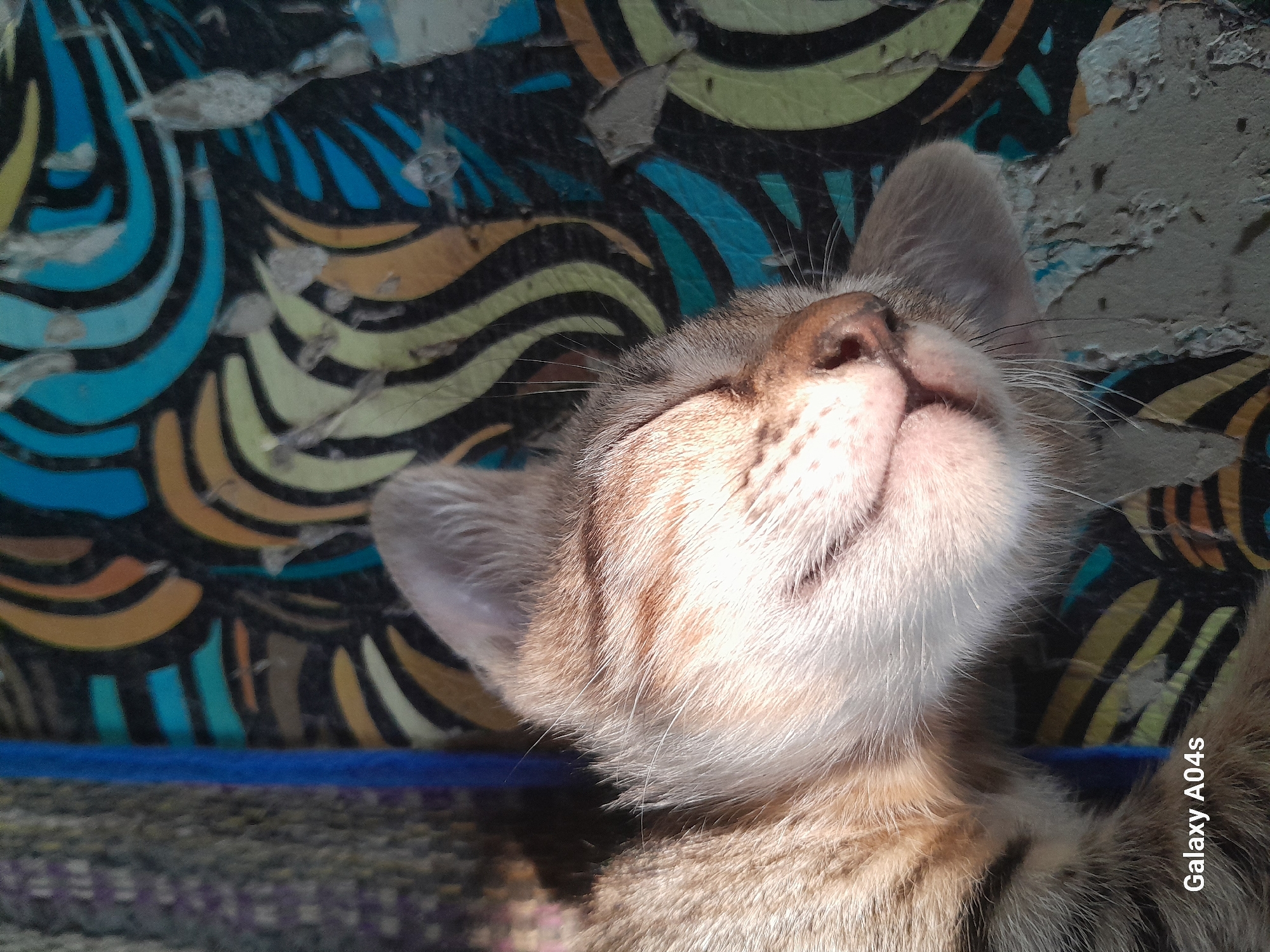 A close-up, eye-level shot shows a tabby cat sleeping peacefully on a surface with a colorful, abstract pattern. The cat's face, bathed in sunlight, is turned to the right, with its eyes closed and mouth slightly open. Its fur is a mix of tan and brown stripes. To the left of the cat, a textured gray object with purple threads is visible, along with a portion of a bright blue cord. The background is dominated by the abstract pattern, featuring swirling lines of black, teal, yellow, and orange. The surface beneath the cat appears worn and damaged in places, with peeling layers. The bottom left corner of the image contains the text "Galaxy A04s" in white. The scene is likely located outdoors or near a window, given the strong sunlight and the overall natural setting.