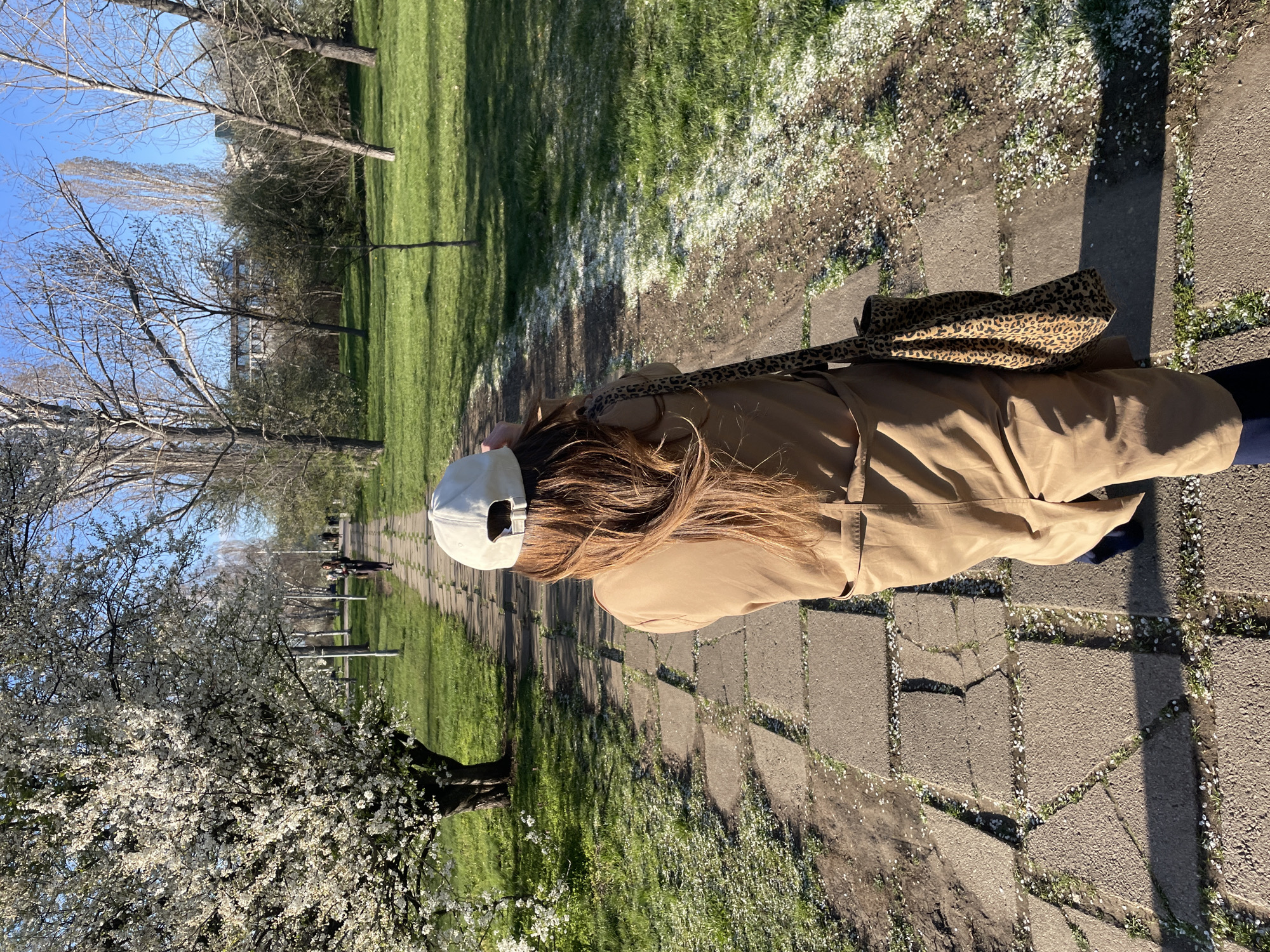 A person is walking along a stone-paved path in what appears to be a park. The person has long brown hair, a white baseball cap, and a tan coat, with a leopard-print bag slung over their shoulder. The path is lined with green grass and trees, some of which are in bloom with white flowers. There are some white flower petals scattered on the ground. In the distance, other people can be seen walking along the path. The scene is bathed in bright sunlight, with shadows cast on the path and grass. Based on the architecture and vegetation, this is likely in the city of Sofia, Bulgaria.