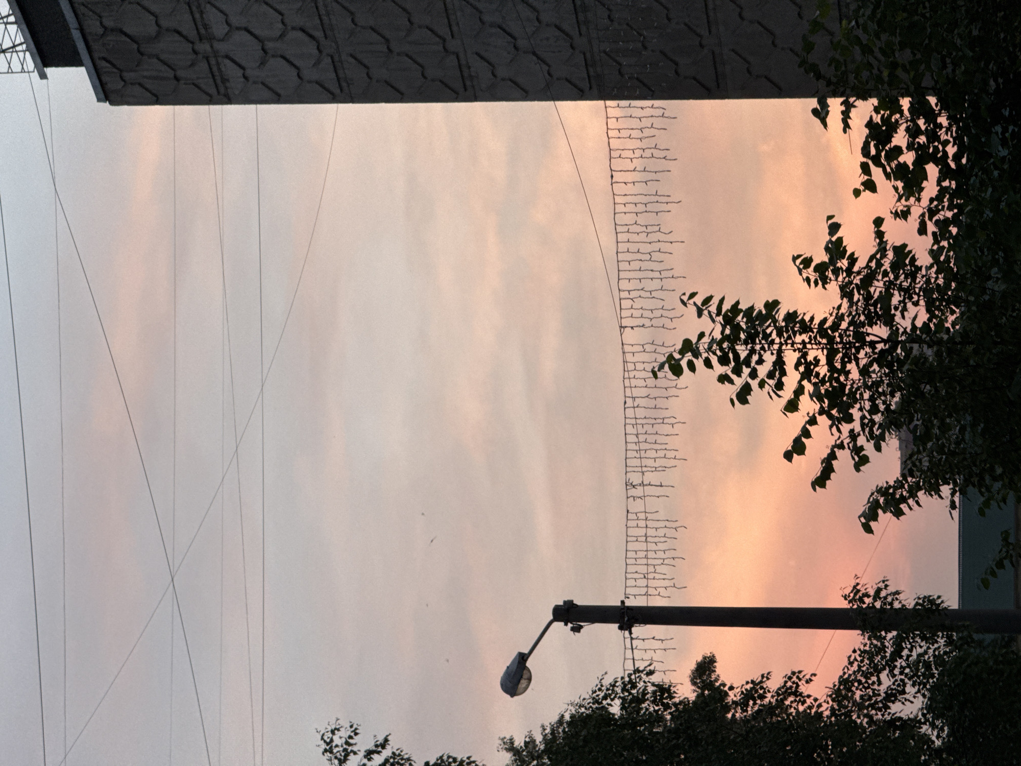 A streetlamp with a curved lamp head is positioned on the left side of the frame, silhouetted against a pale pink and gray sky. The lamp is mounted on a dark gray pole. A string of small, hanging lights stretches horizontally across the mid-ground, attached to the lamp pole and extending out of frame to the right. The right side of the image is dominated by the textured, dark gray facade of a building. Dark green foliage from trees obscures the lower portion of the frame and extends upwards around the streetlamp. The sky shows subtle cloud formations and a few thin, dark utility wires cross the upper part of the image. The scene appears to be outdoors in an urban environment.