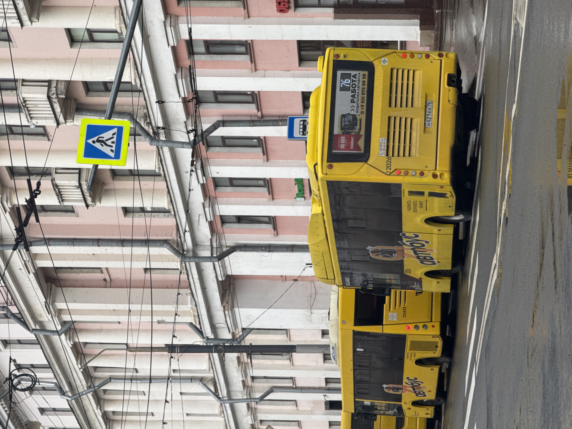 The image captures a bustling street scene in what appears to be an urban area of Russia, with buildings lining one side and a road occupied by yellow public transport buses. The street is paved and shows signs of being wet, possibly from recent rain. Above the street, a complex array of overhead wires and support poles suggests the presence of electric public transport infrastructure, though only standard buses are visible.
Several yellow buses, branded "VOLGABUS" and "автобус" (bus), are seen on the road, likely stopped at a bus stop or in traffic. One bus displays a rear advertisement seeking a "ВОДИТЕЛЕМ АВТОБУСА" (Bus Driver), offering "90 000" (possibly rubles) and a "СОЦПАКЕТ" (social package/benefits), with a phone number "+7 921 973 90 58" and an additional contact "260-99-15". It also shows "76", potentially a route number. The license plate "H421EX 76" is visible, where "76" indicates the Yaroslavl region of Russia. Other text on the bus sides includes "НАДЕЖНОСТЬ" (Reliability), "БЕЗОПАСНОСТЬ" (Safety), and "КОМФОРТ" (Comfort), along with fleet numbers like "12026" and "22413".
Overhead, a blue square sign with a white triangular border and a black pedestrian symbol indicates a pedestrian crossing. A blue rectangular sign with a white bus icon signifies a bus stop. The background features multi-story buildings with light pink and white facades, characterized by numerous windows. The lighting suggests daytime, possibly overcast. No specific human activities or emotions are clearly discernible, but the scene depicts typical urban movement and public transport operations.