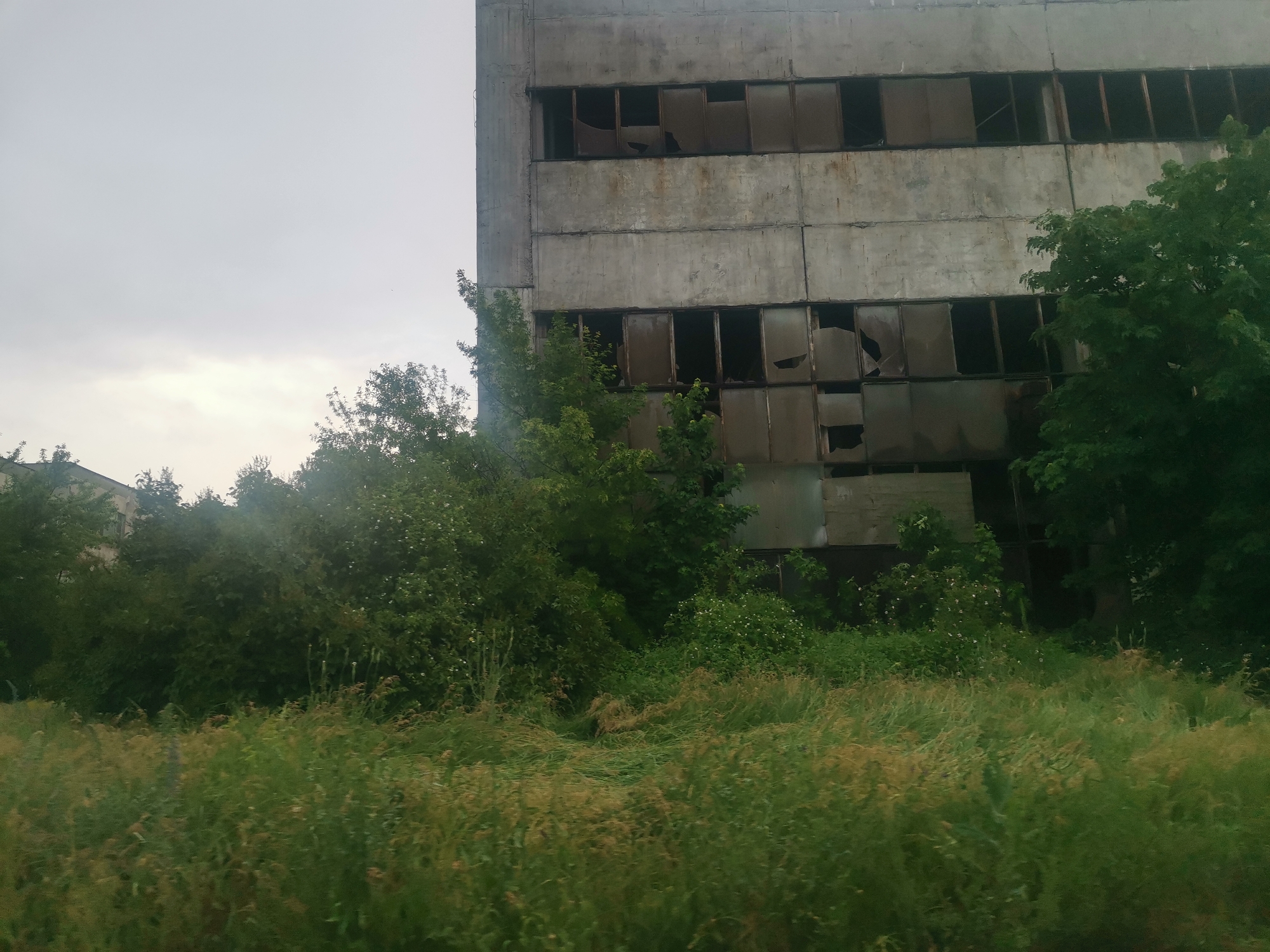 The image depicts an abandoned or derelict multi-story concrete building, partially obscured by dense, overgrown vegetation, under an overcast sky. The scene is located in Zhivkovo, Bulgaria.
The building, constructed from large concrete panels, exhibits a utilitarian architectural style. Its facade is heavily weathered and stained, showing significant signs of decay. It features numerous rectangular window openings arranged in horizontal rows across multiple floors. Most of these windows are broken, missing glass panes, or appear to be covered by dark, possibly makeshift materials or debris, leaving jagged edges and dark voids. The concrete structure itself shows discoloration and grime accumulated over time.
In the foreground and extending around the base of the building, there is a profusion of wild, untamed vegetation. This includes tall green and brown grasses, dense bushes, and numerous trees with lush foliage, indicating that the area has been left unmanaged for an extended period. The greenery is so extensive that it partially conceals the lower sections of the building, suggesting nature's gradual reclamation of the man-made structure.
The sky is a uniform, dull grey, completely overcast, providing a diffused and somber light to the entire scene. There is no direct sunlight visible. No people or human activity are present, emphasizing the desolate and forgotten nature of the location. The overall mood conveyed is one of neglect, decay, and melancholy. There is no visible text or signage anywhere in the image.