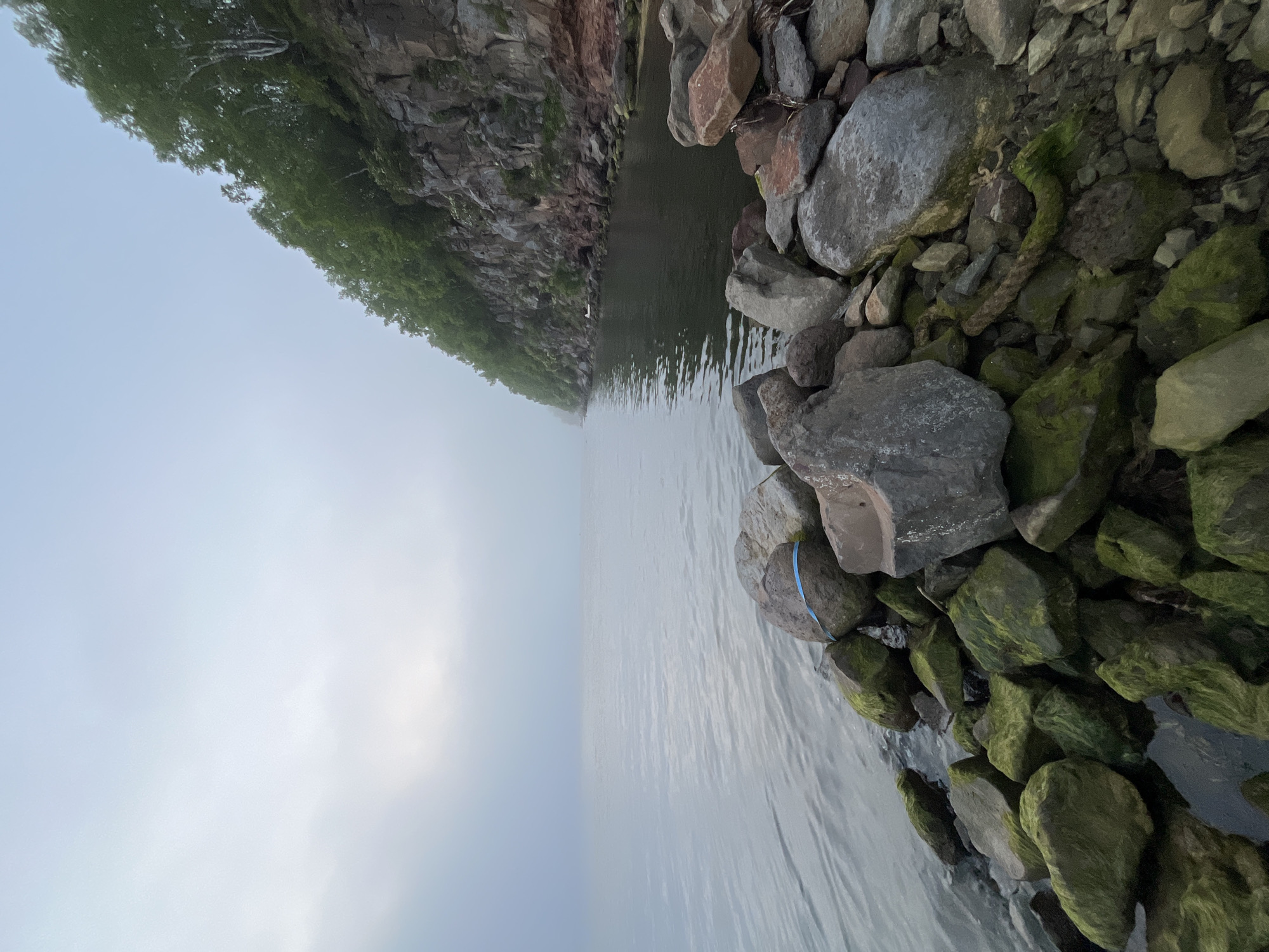 The image shows a rocky shoreline on a misty day. The water is calm and reflects the overcast sky. A steep, forested cliff rises on the right side of the frame. In the foreground, a pile of large rocks, some covered in green moss, are visible. A blue ribbon or strap is tied around one of the rocks. The overall scene suggests a natural, undeveloped coastal area.