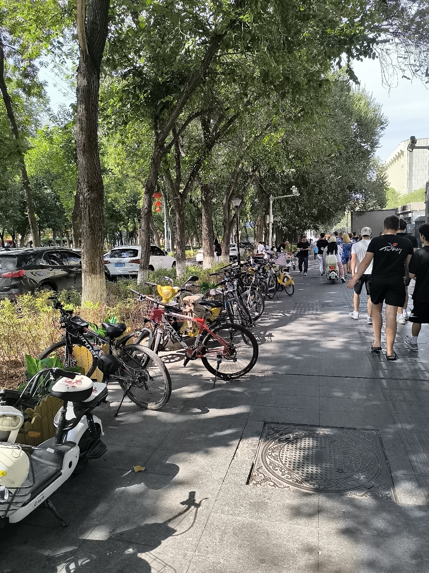 The image depicts a street scene in Ürümqi, China, likely in a park or along a tree-lined avenue. In the foreground, several bicycles and a white electric scooter are parked. The scooter has a basket and a padded seat with a cartoon character. Further down the paved sidewalk, a group of people are walking. Some are carrying bags, and one person is riding a white electric scooter. Trees line the street, casting shadows on the ground. In the background, cars are parked on the side of the road, and a modern building with a white facade is visible. A decorative manhole cover is prominently featured on the sidewalk. The overall impression is of a sunny day in an urban environment with pedestrian and vehicular traffic.