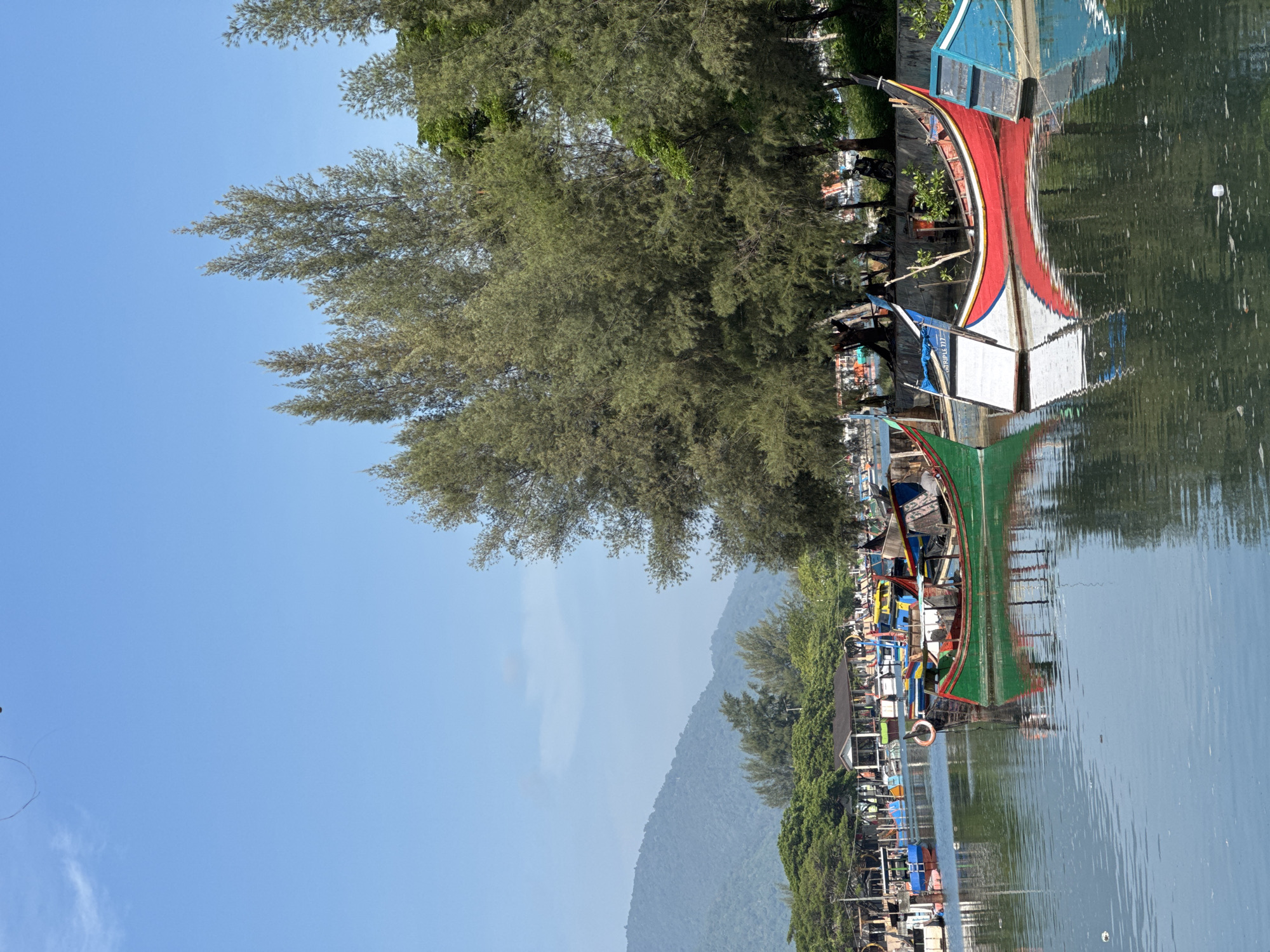 The image captures a tranquil scene of a harbor in Banda Aceh, Indonesia, on a clear day. The foreground is dominated by the calm, reflective waters of the harbor, with several colorful fishing boats moored along the bank. The boats, painted in vibrant hues of green, red, white, and blue, exhibit traditional Indonesian designs. Their reflections shimmer on the water's surface.
In the mid-ground, a line of trees with dense, green foliage forms a natural backdrop to the harbor. Beyond the trees, the silhouette of a mountain range is visible in the distance, softened by a light haze. The sky above is a clear, pale blue, with a few wispy clouds.
The scene suggests a peaceful atmosphere, with the boats at rest, likely awaiting their next voyage. The overall impression is one of natural beauty and coastal life.