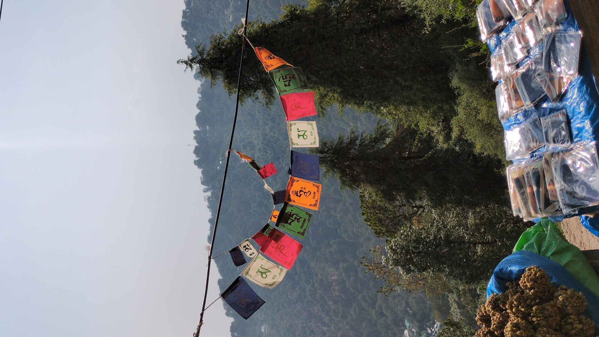 The image, taken in Dharamshala, India, depicts a scene in a mountainous environment. A string of colorful prayer flags, arranged in a semi-circular arc, hangs against a backdrop of a densely forested hillside and a light blue sky. The flags display Buddhist mantras and symbols.
To the right of the frame, a blue tarp covers what appears to be merchandise for sale. These items include packaged goods and a large pile of dried vegetation. The goods are neatly stacked in multiple rows and wrapped in clear plastic. The dried vegetation has a rough, textured surface.