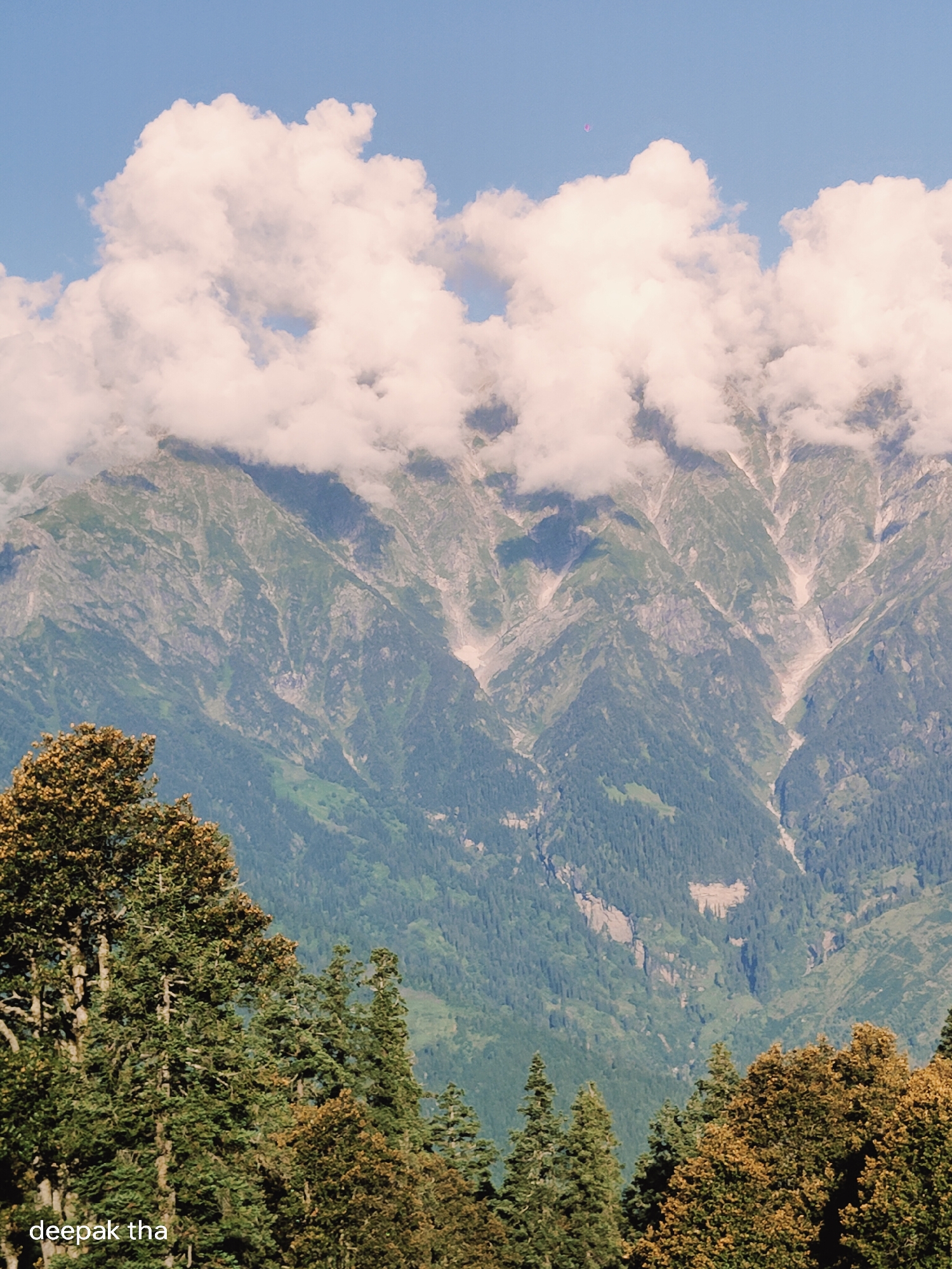 The image captures a panoramic view of a mountainous landscape, likely in or near Manali, India. In the foreground, dense evergreen trees with some autumnal foliage dominate the lower portion of the frame. Their branches are laden with leaves, creating a textured canopy. In the midground, a massive mountain range rises steeply, its slopes covered in a mixture of dark green coniferous forests and lighter green patches of vegetation. Rocky outcrops and ravines are visible, with streaks of lighter-colored rock or scree descending the mountainside. The upper parts of the mountains are partially obscured by thick, fluffy white clouds that cast shadows and create a dramatic contrast with the blue sky above. A faint pink object, possibly a paraglider or kite, is visible in the sky near the top center of the image. The overall scene conveys a sense of natural grandeur and the vastness of the wilderness. The text "deepak tha" is visible in the bottom left corner of the image.