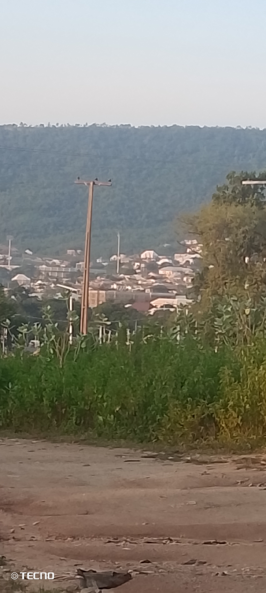 The image captures a view of the city of Adankolo, Nigeria. In the foreground, a dirt road stretches across the bottom of the frame, with patches of dry earth and scattered small stones. To the right of the road, lush green vegetation, including leafy plants and tall grasses, forms a dense barrier. A tall, weathered wooden utility pole stands prominently in the mid-ground, supporting what appear to be three small birds perched on its crossbars. Behind the vegetation and utility pole, the cityscape of Adankolo unfolds, characterized by numerous buildings with various roof structures, interspersed with trees. The buildings are densely packed, suggesting a residential or commercial area. In the background, a vast, undulating hill covered in dense green foliage rises steeply, its summit meeting a hazy, pale blue sky. The overall lighting suggests it is either early morning or late afternoon.