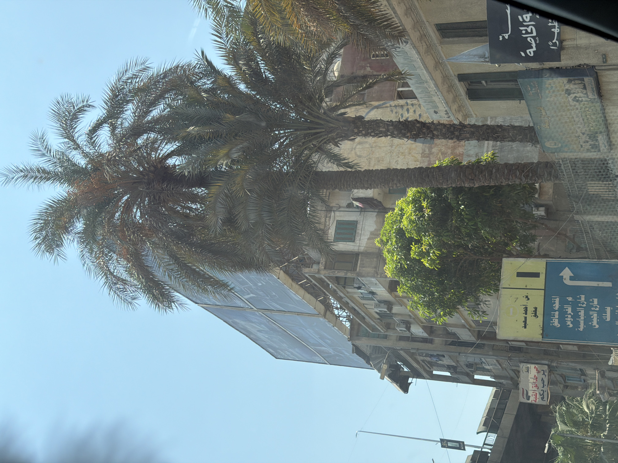 This image captures a street scene in Cairo, Egypt, on a clear, sunny day. The focus is on a weathered, multi-story building with signs and a large billboard. Two prominent palm trees frame the scene, with their fronds extending towards the sky. The building itself appears older, with multiple windows, some with green shutters, and several air conditioning units attached to its facade. A large, rectangular billboard with a printed image or advertisement covers the top of the building. Several street signs are visible: one yellow sign with Arabic text and a directional arrow, and another smaller white sign with Arabic text and a logo. There are also some trees and foliage visible in the foreground and around the building. The street appears to be at ground level, with an elevated structure, possibly a bridge or highway overpass, visible in the background to the left. The overall impression is one of a busy urban environment with a mix of old and new architecture.