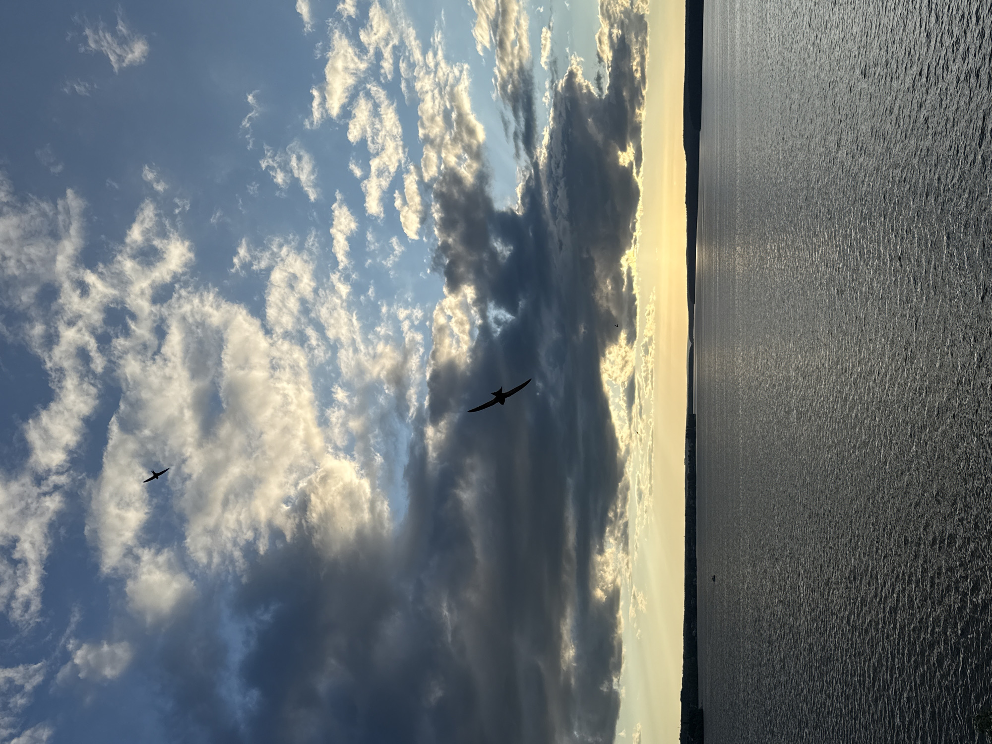 The image depicts a serene scene of the Kama River in Votkinsk, Russia, at sunset. The sky is a canvas of dramatic clouds, with patches of bright blue contrasting with darker, brooding storm clouds. Sunlight pierces through the clouds, creating a golden glow along the horizon. Two birds are captured in flight against this majestic sky. The vast expanse of the Kama River reflects the changing colors of the sky, its surface rippling gently. A distant shoreline is visible, dotted with hints of trees and possibly structures. The overall atmosphere is one of tranquility and natural beauty.