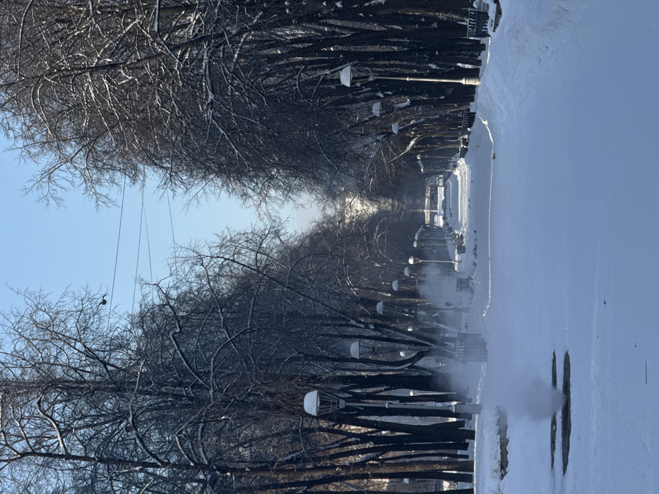 The image depicts a snow-covered pedestrian alley within Kharitonovsky Garden, Yekaterinburg, Russia, under a clear blue sky. A wide, linear pathway, completely blanketed in white snow, extends from the foreground into the distance. It is bordered on both sides by dense rows of mature deciduous trees, bare of foliage, with their branches heavily laden with snow. Ornamental streetlights featuring snow-capped domed tops are spaced regularly along both edges of the path, interspersed with snow-covered park benches and trash receptacles.
In the left mid-ground, a prominent plume of white vapor rises vertically from a circular opening in the snow, consistent with a utility vent or manhole. Additional, less defined vapor plumes are visible further down the path on the same left side. Three thin, dark utility wires span horizontally across the upper left quadrant of the sky. A single dark-colored bird is captured in flight in the upper left portion of the sky, positioned between the tree canopies and above the overhead wires. No human subjects are present in the scene.