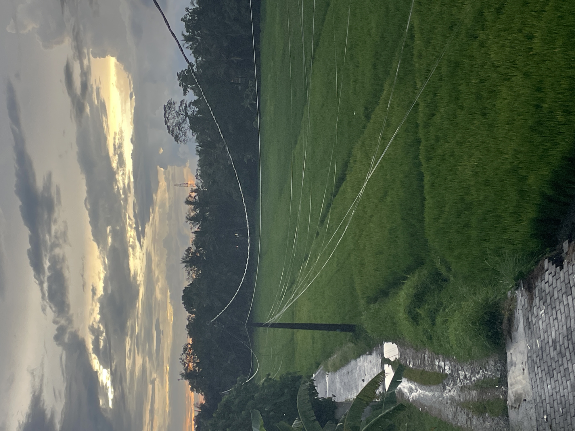 The image depicts a rural or semi-rural landscape at either sunrise or sunset, characterized by dramatic lighting and lush greenery. The sky, occupying the upper left portion of the image, is filled with dark, heavy clouds, with pockets of brilliant golden light breaking through, casting a warm glow.
Stretching across the mid-ground is a dense line of dark green, tropical-looking trees, forming a natural boundary. In front of these trees, and dominating the right side of the image, is a vast expanse of vibrant green field, likely a rice paddy, exhibiting a textured appearance typical of cultivated crops.
Several utility cables or power lines traverse the scene horizontally and diagonally, originating from a dark utility pole positioned in the mid-left. These lines are prominent, contrasting against both the sky and the green field. In the lower right section, a narrow, unpaved path, which appears wet, winds through the field. Adjacent to this path on the far right is a section of a gray brick wall or paved surface. Large, broad green leaves, possibly from a banana plant, are visible in the bottom right corner, partially obscuring the immediate foreground. In the far distance on the left, a faint, tall structure, possibly a communication or electricity tower, is subtly illuminated by the light.
The scene is devoid of people or discernible activity. The golden light through the clouds strongly suggests either dawn or dusk, lending a serene and somewhat dramatic atmosphere. The wet path hints at recent rain or irrigation. No visible text is present in the image.